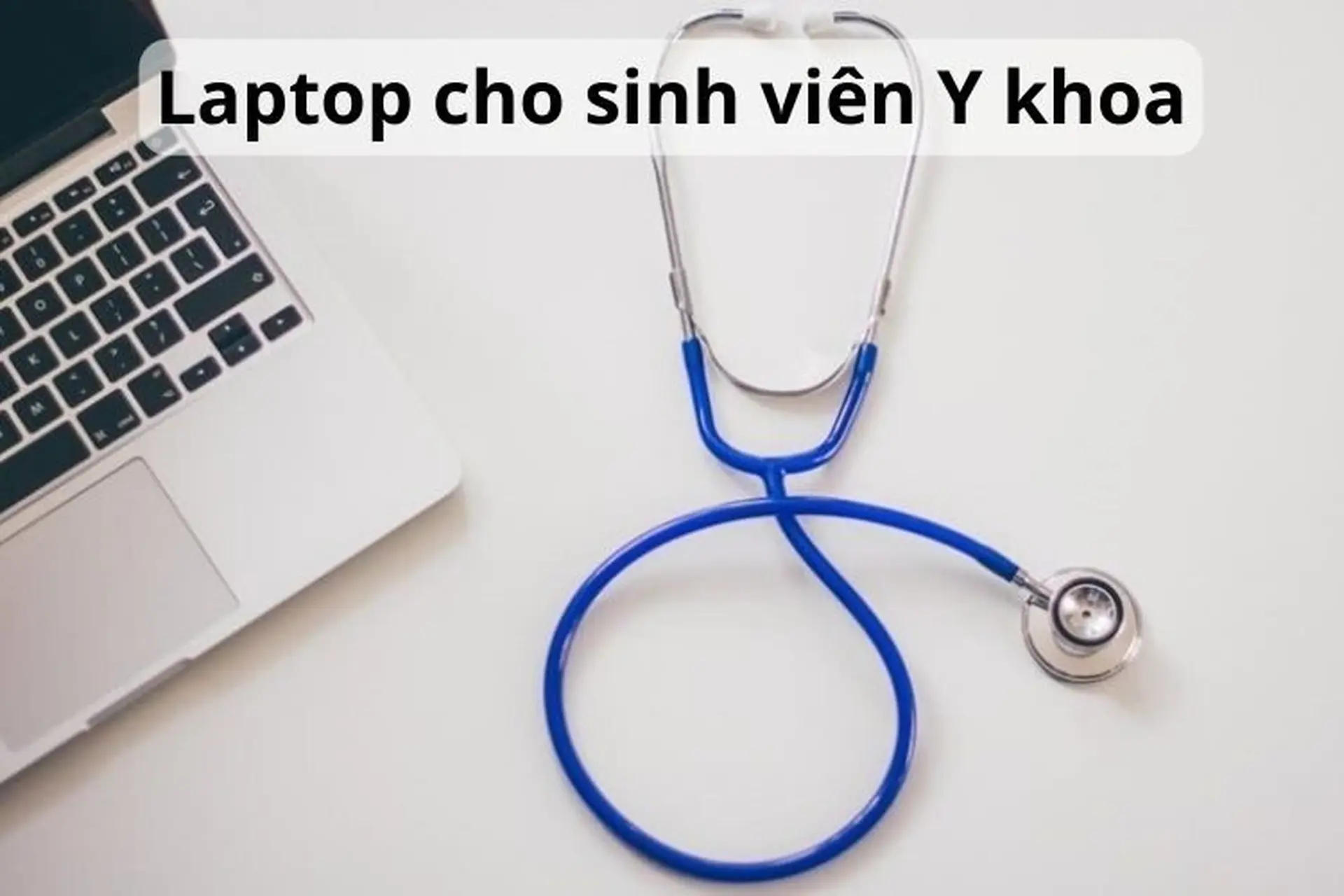 Top 8 laptop cho sinh viên Y khoa 2024 có cấu hình ổn định đáng sở hữu hiện nay