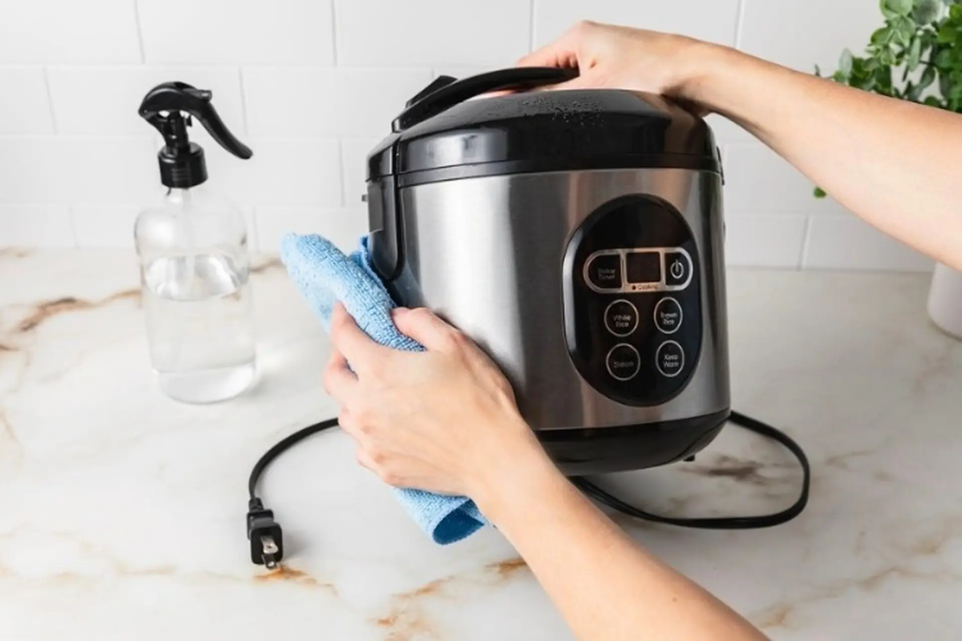 Nồi cơm bị mốc: Nguyên nhân và cách vệ sinh an toàn, sạch sẽ với nguyên liệu dễ kiếm