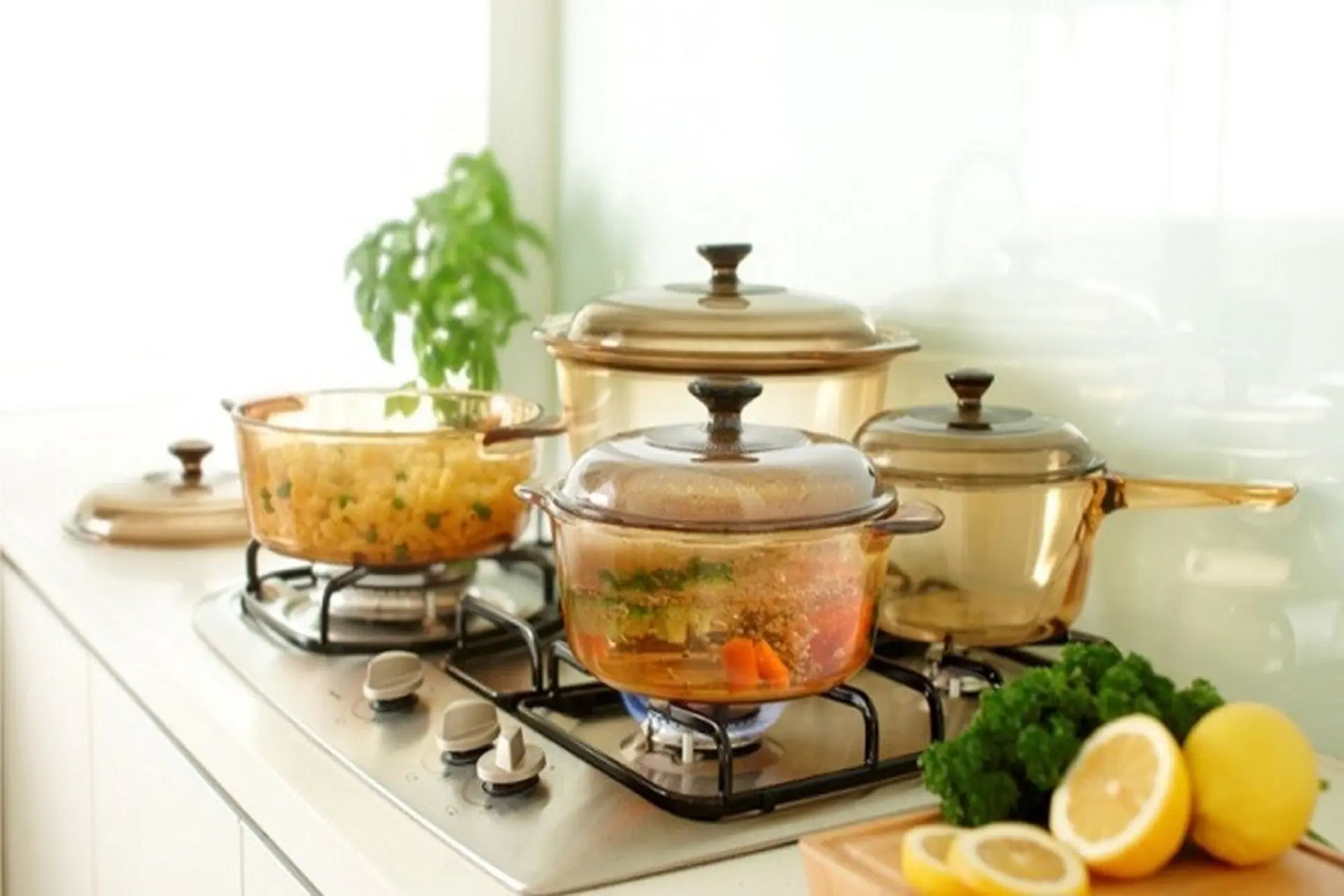 Giải đáp thắc mắc nấu canh nên dùng nồi nào? Nồi inox hay nồi thủy tinh tốt hơn?