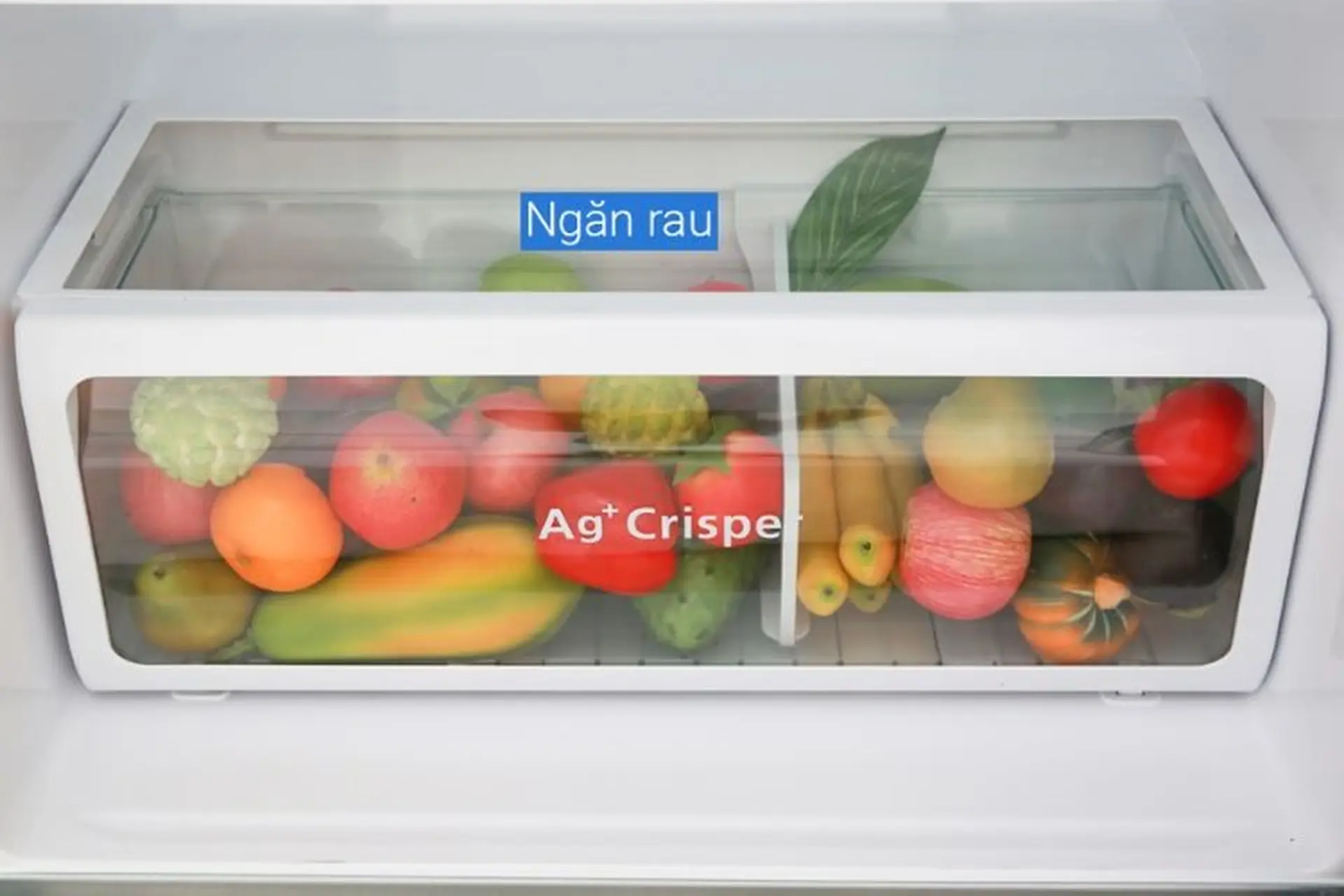 Ngăn Ag+ Crisper của tủ lạnh là gì? Vì sao nói đây chính là bí mật giúp giữ thực phẩm tươi ngon lâu?