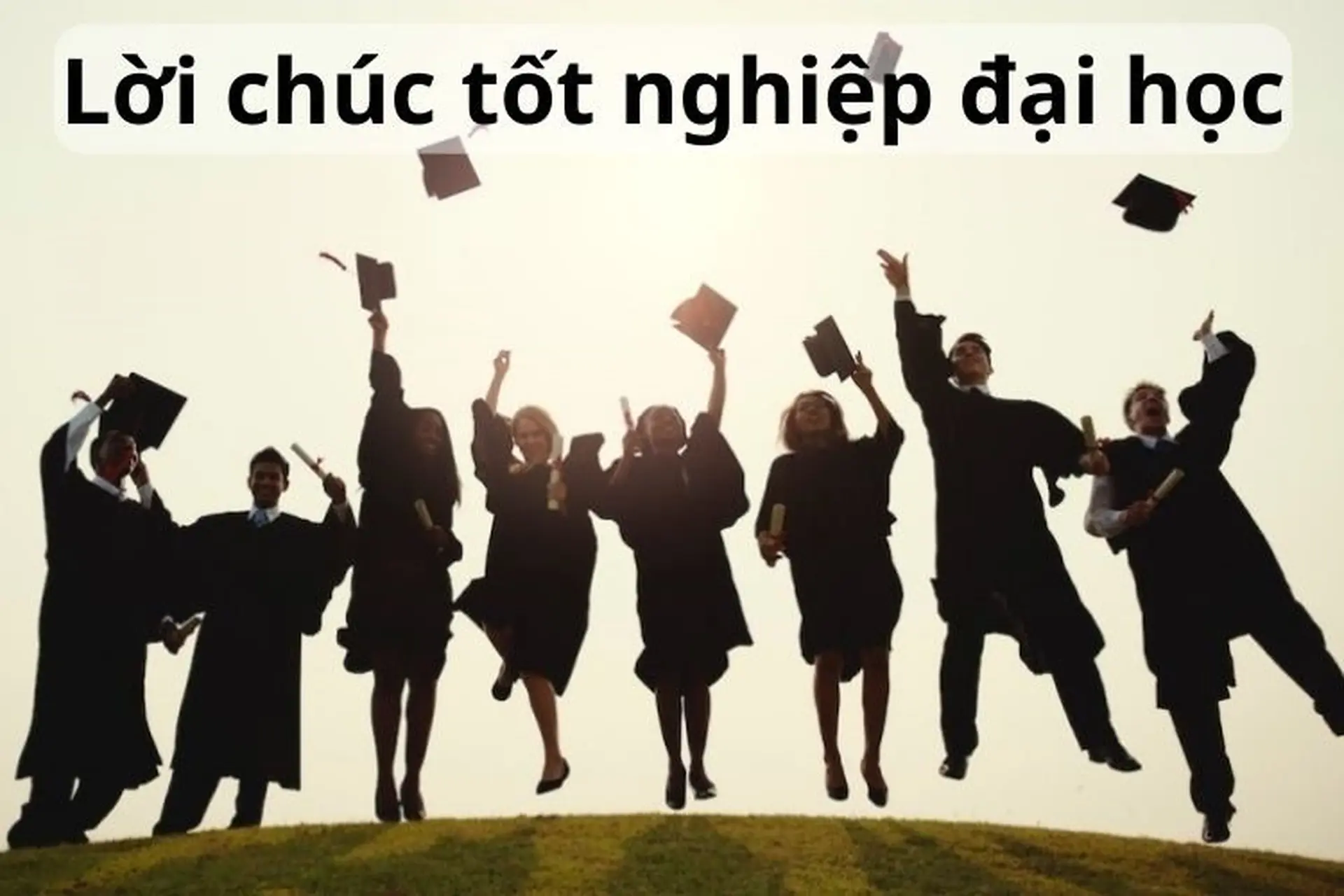 Gợi &yacute; 50 lời ch&uacute;c tốt nghiệp đại học ngắn gọn v&agrave; đầy s&aacute;ng tạo