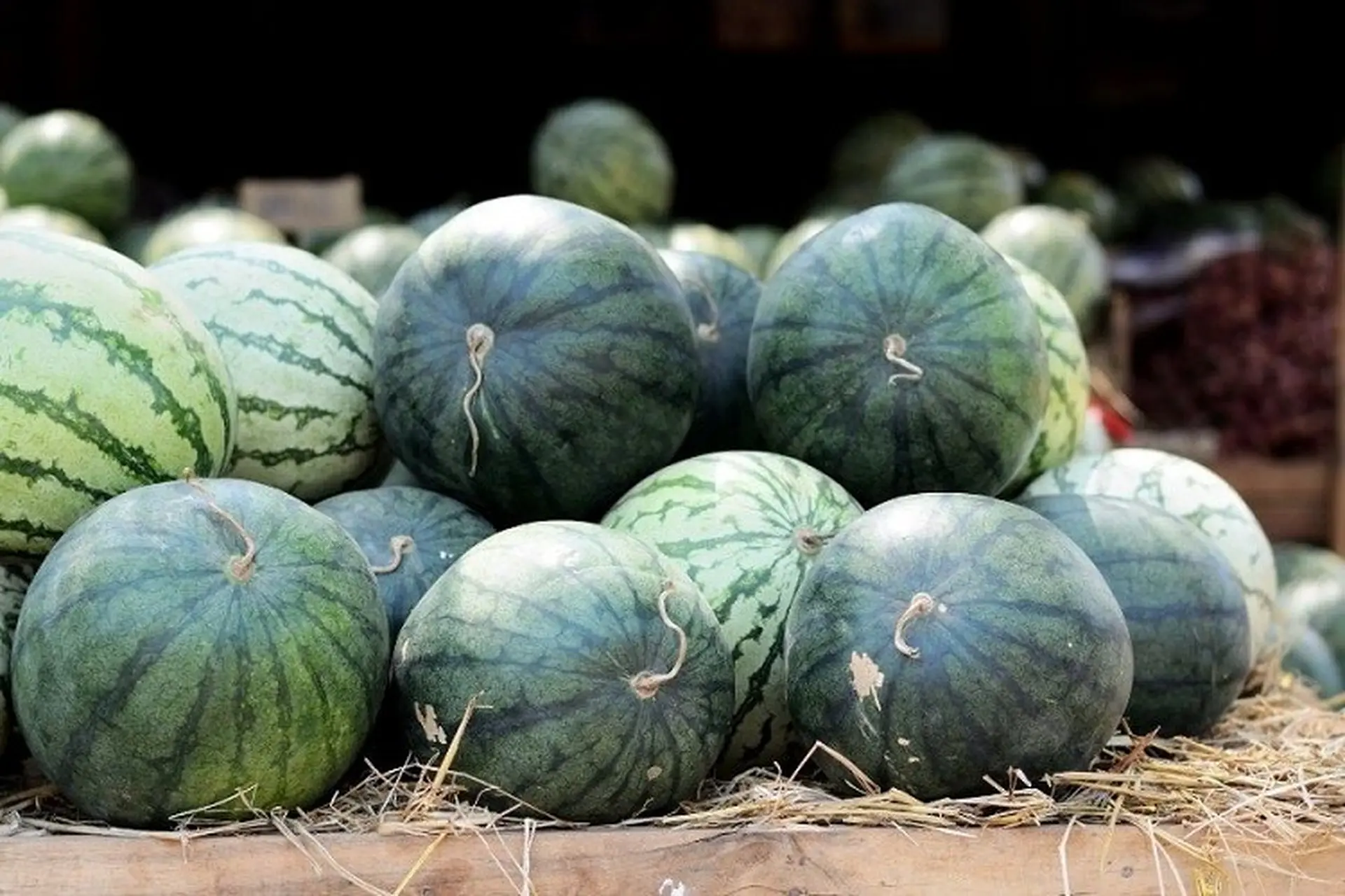 Hướng dẫn cách bảo quản dưa hấu tươi lâu, ngon ngọt nhiều ngày không bị hỏng