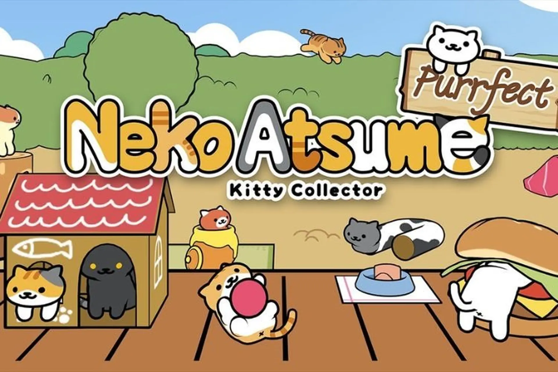 Neko Atsume: Kitty Collector - Game mô phỏng nuôi mèo cực "chill" dành cho người cần chữa lành