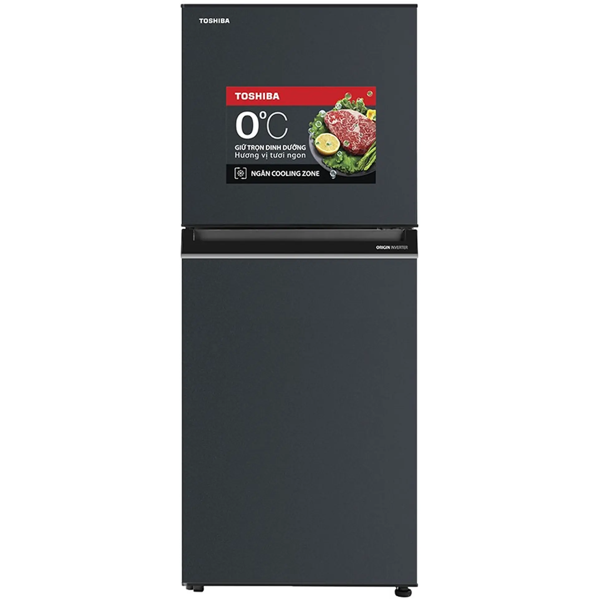 Tủ lạnh ngăn đá trên Toshiba ORIGIN Inverter 194 lít GR-RT252WE-PMV(52)