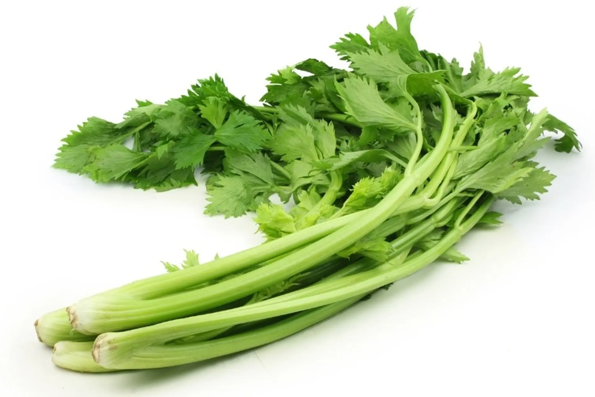 Hướng dẫn chi tiết cách nhặt rau cần tây cho món ăn thêm ngon, giữ trọn dinh dưỡng