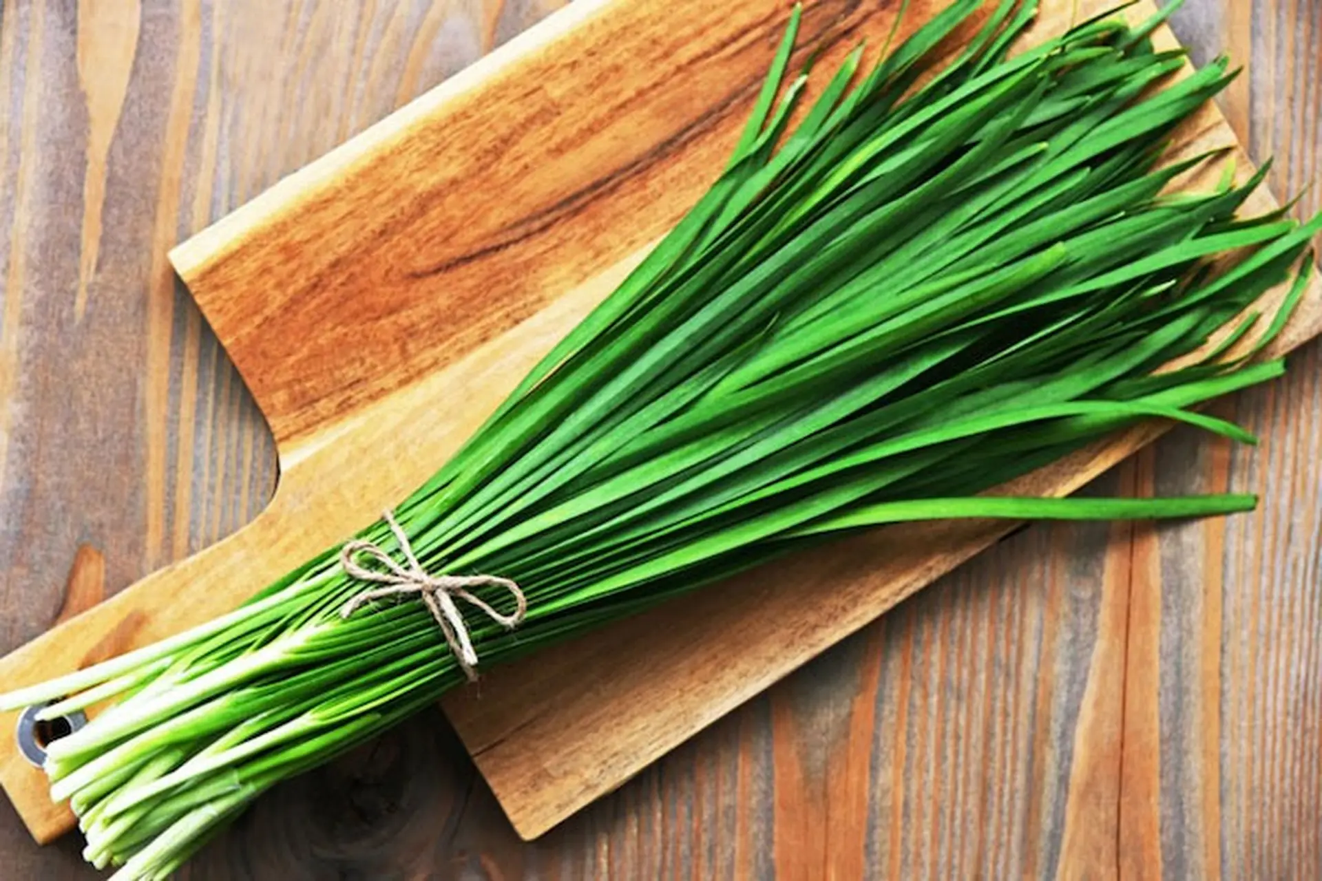 Lá hẹ là lá gì? Công dụng của lá hẹ và những món ăn chế biến từ lá hẹ thơm ngon khó cưỡng