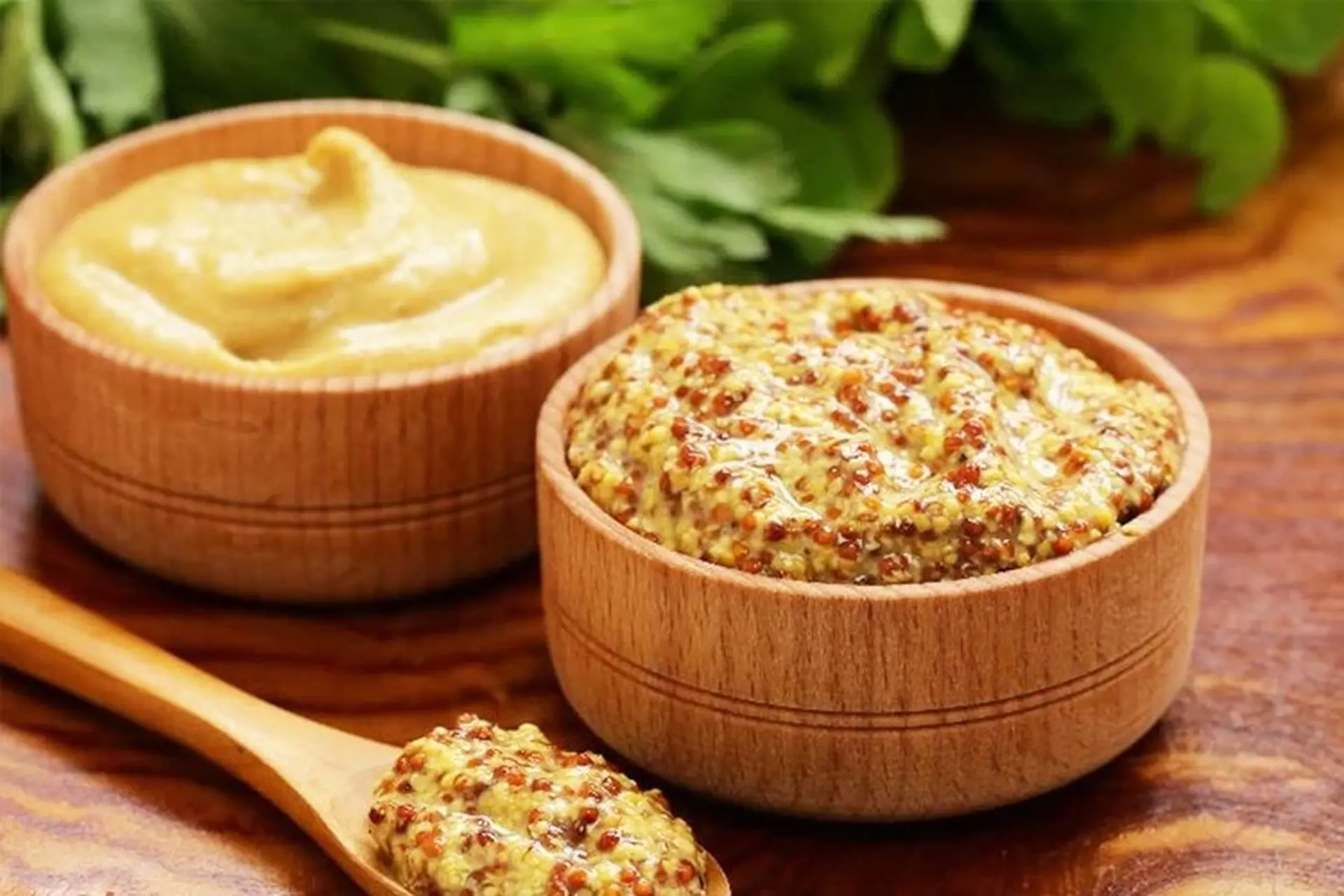 Mù tạt Dijon là gì? Cách phân biệt và sử dụng mù tạt Dijon hiệu quả tại nhà