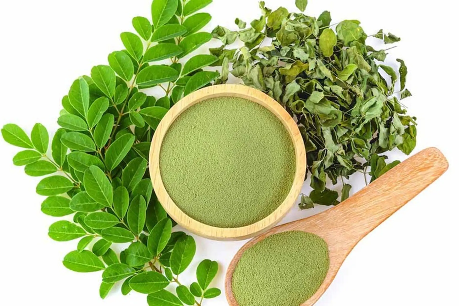 Tìm hiểu về cây chùm ngây và những giá trị dinh dưỡng cho sức khỏe bạn nên biết