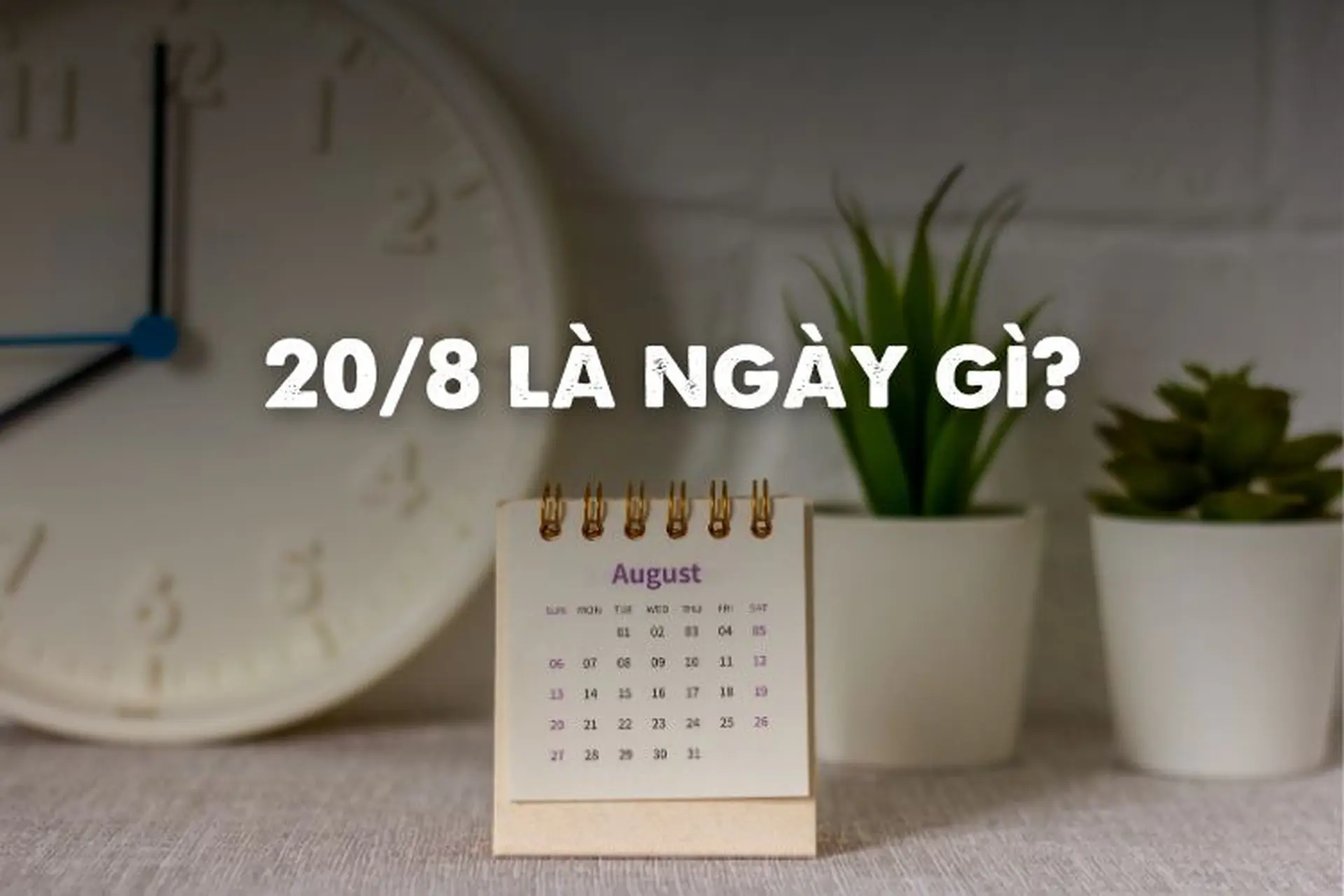 20/8 là ngày gì? Cùng nhìn tại những sự kiện lịch sử nổi bật diễn ra vào ngày 20/8