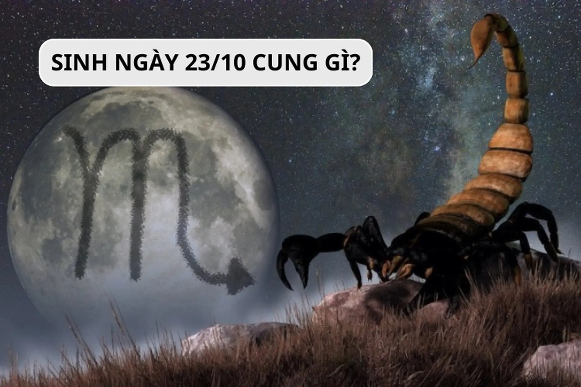 Giải đáp: Sinh ngày 23/10 cung gì? Đặc điểm và ý nghĩa của cung hoàng đạo tháng 10