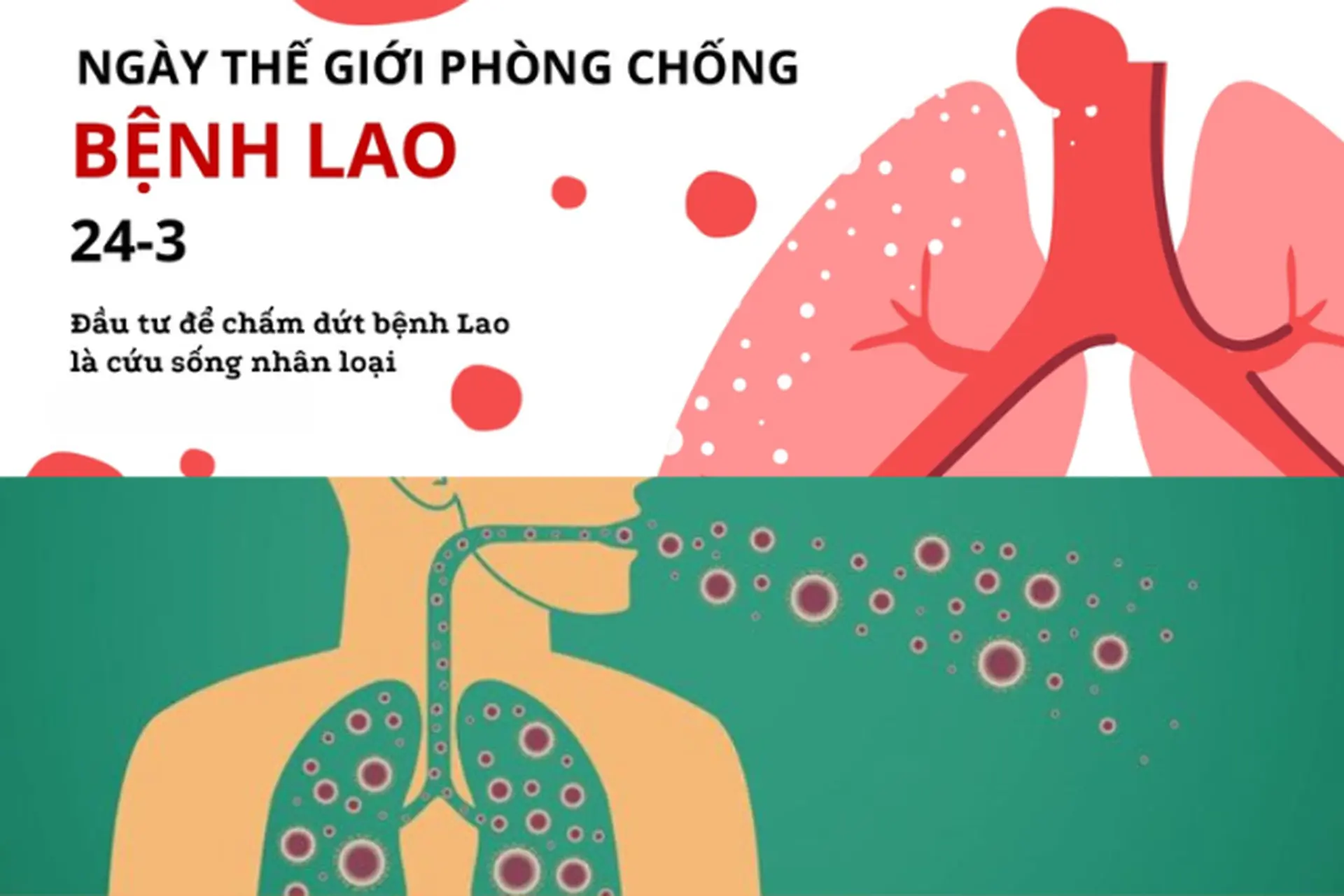 24/3 là ngày gì? Tìm hiểu ý nghĩa, sự kiện quan trọng và những điều đặc biệt trong ngày này