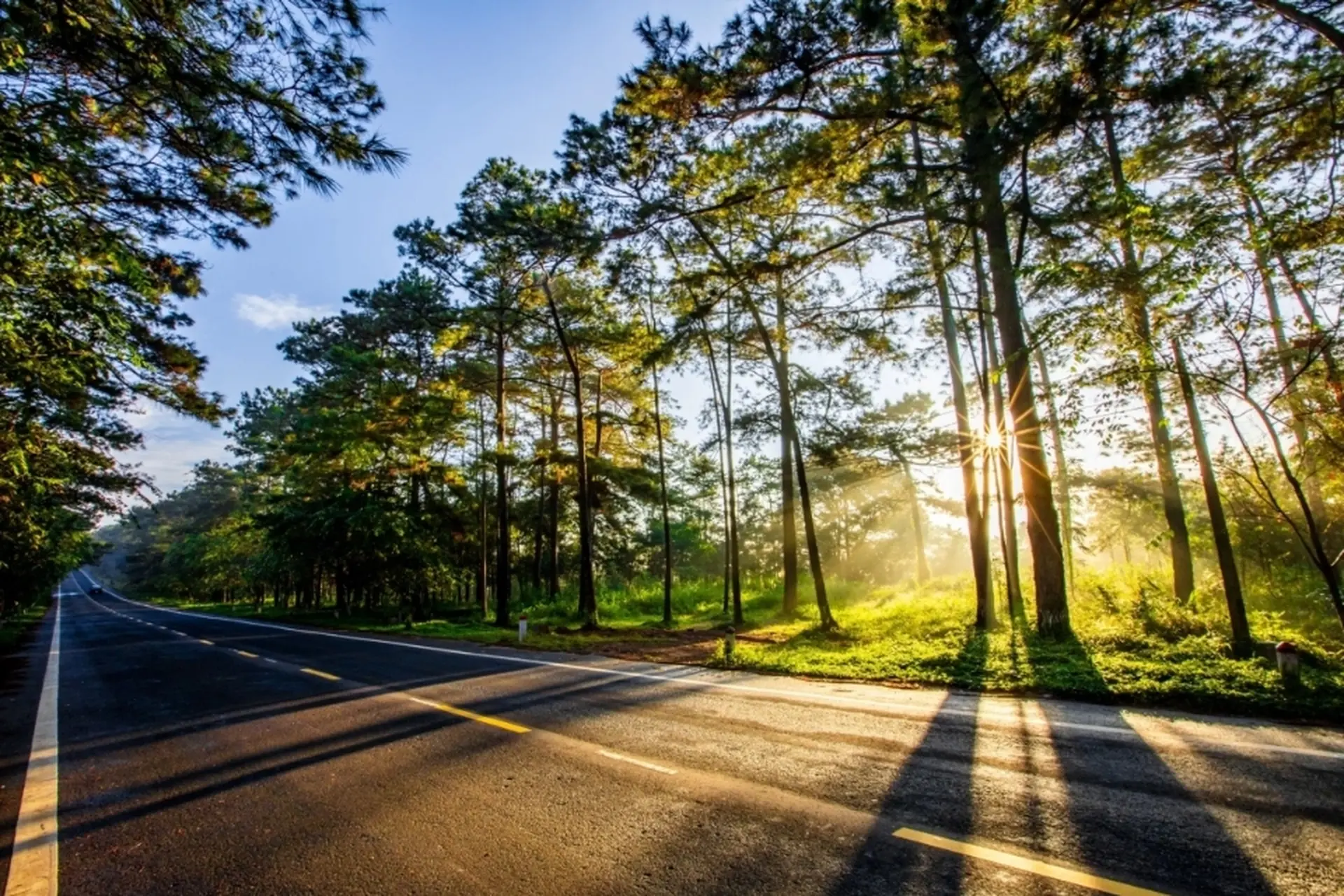 Măng Đen ở đâu? Khám phá "Đà Lạt thứ hai" giữa lòng Tây Nguyên