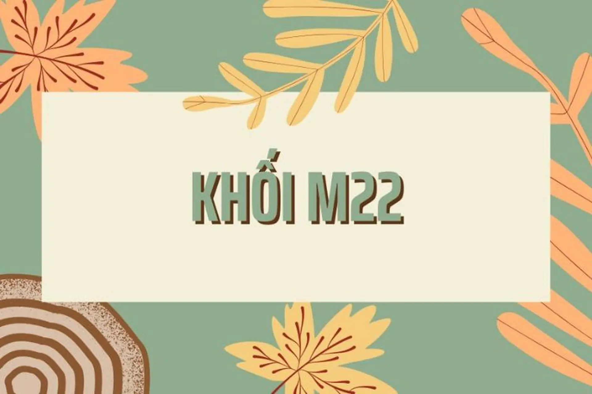 Giải đáp chi tiết: M22 gồm những môn nào, ngành nào và học trường nào phù hợp nhất?