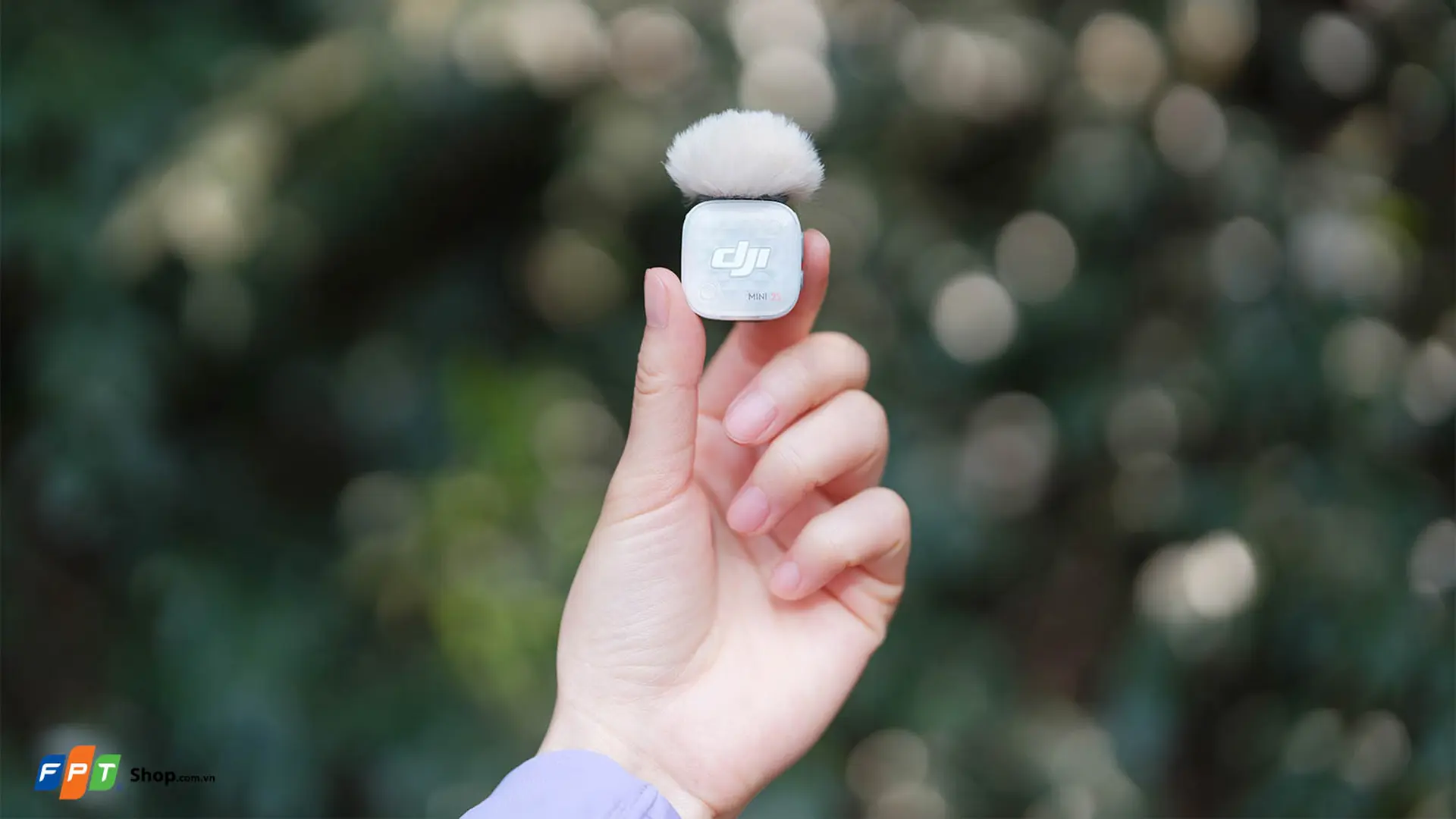 https://fptshop.com.vn/