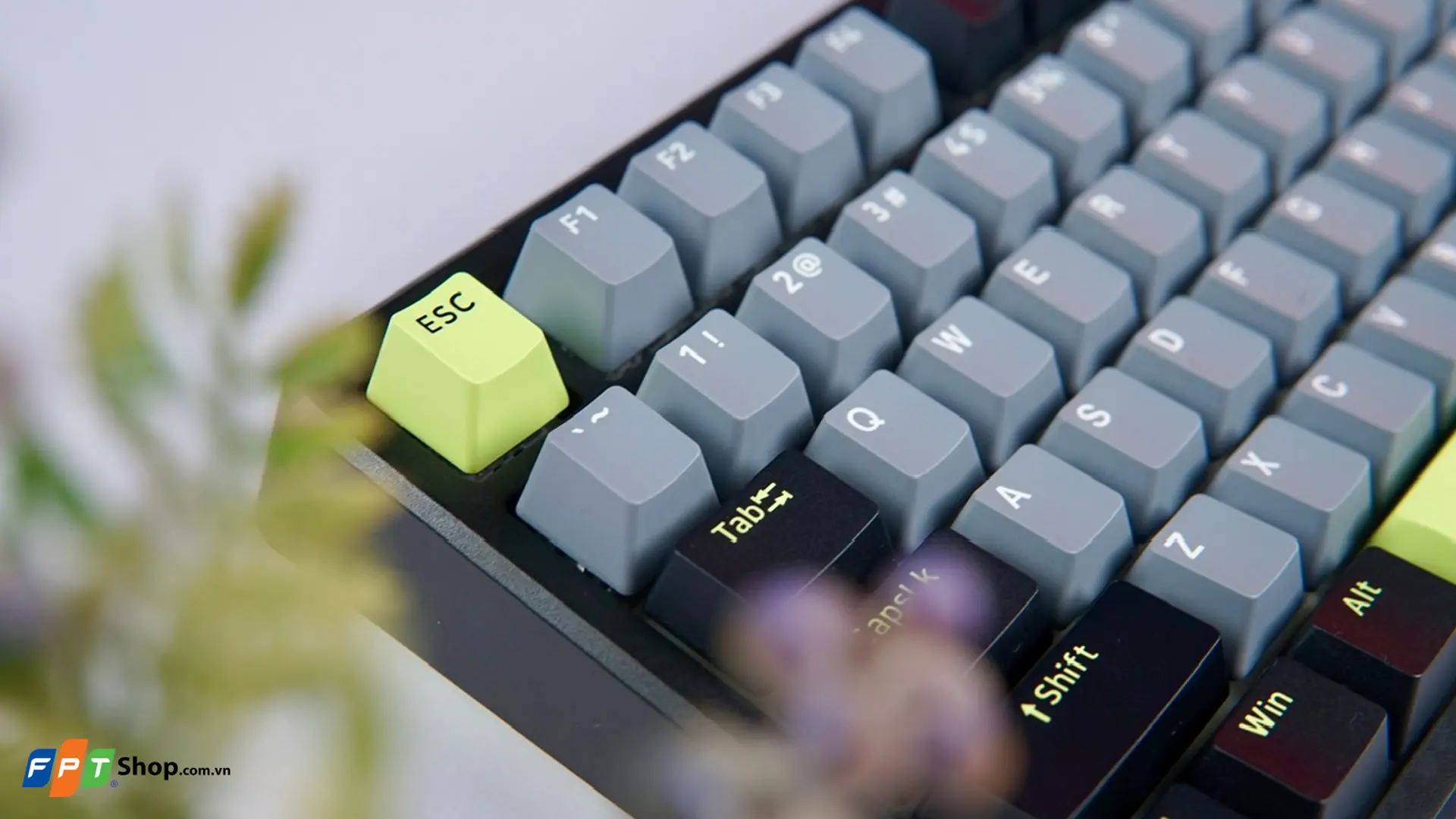 https://fptshop.com.vn/