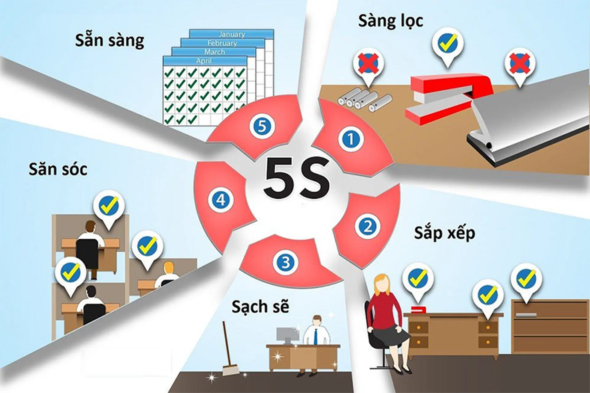 3D5S là gì? Tìm hiểu ý nghĩa, nguồn gốc và ứng dụng của mô hình 3D5S trong đời sống