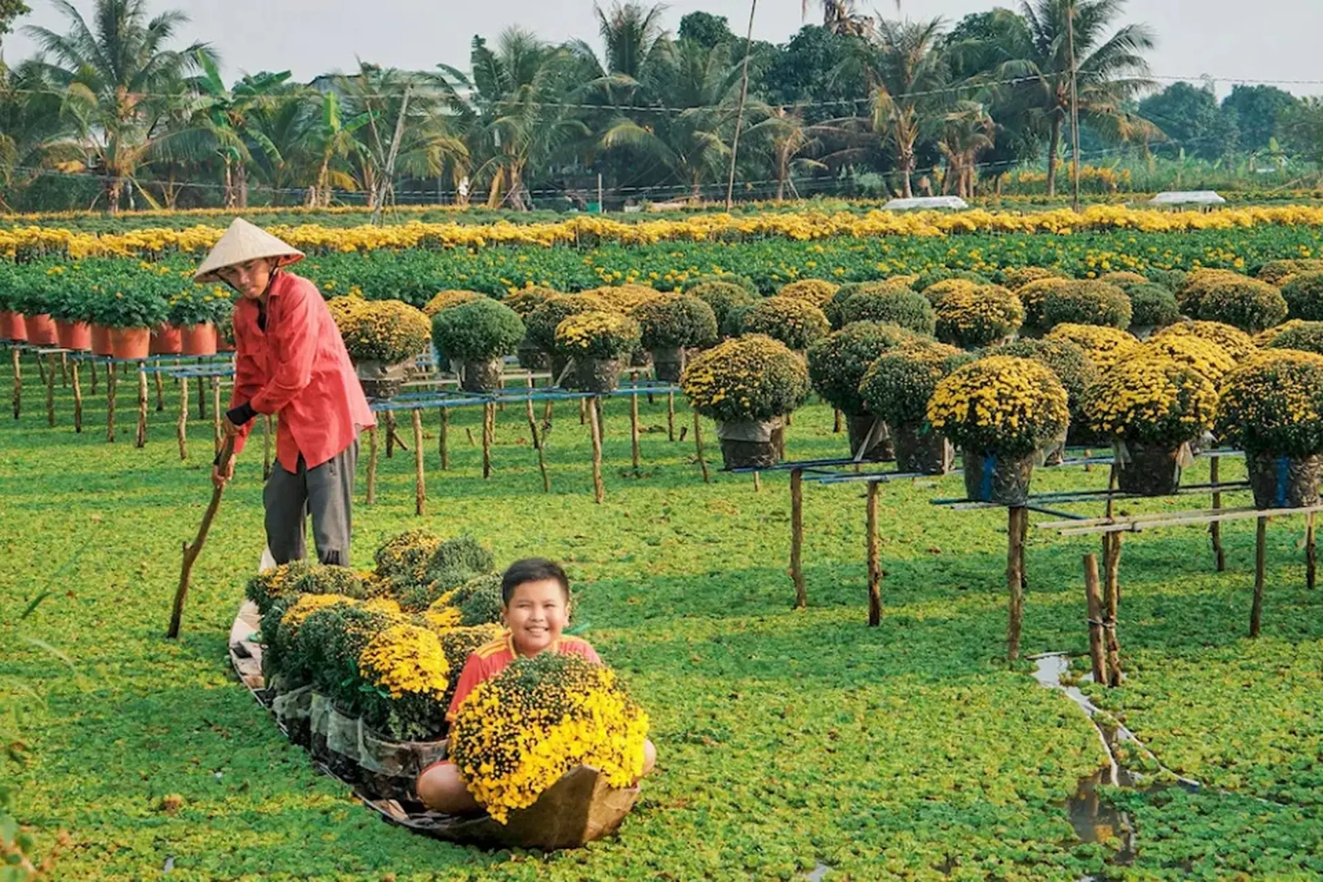 Xã Tân Dương của Đồng Tháp sau sáp nhập: Khởi đầu mới cho một trung tâm phát triển bền vững