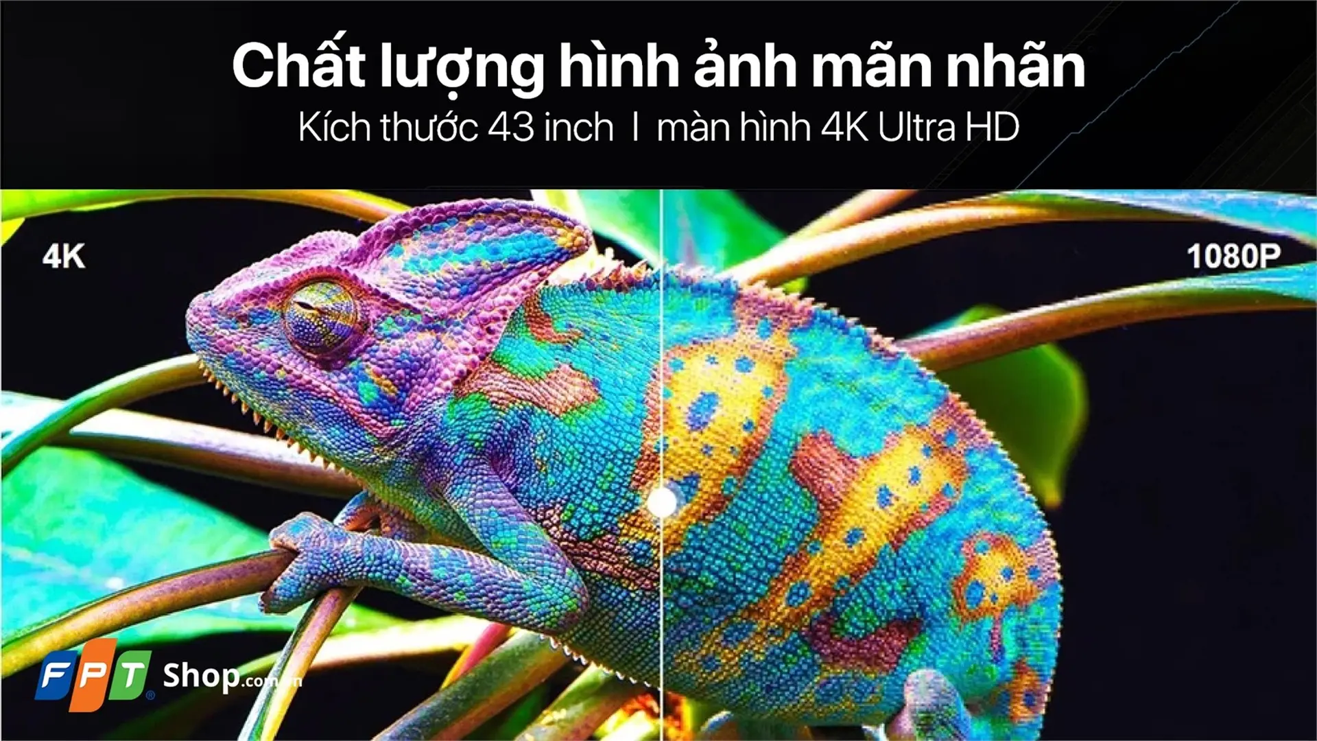 https://fptshop.com.vn/