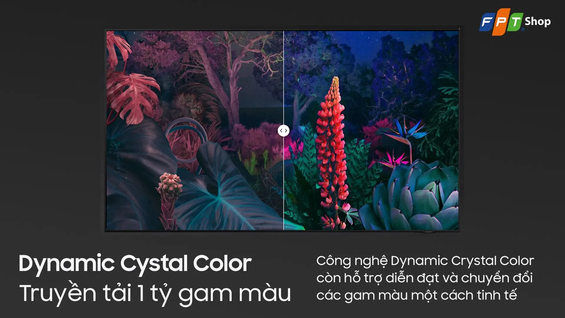 https://fptshop.com.vn/