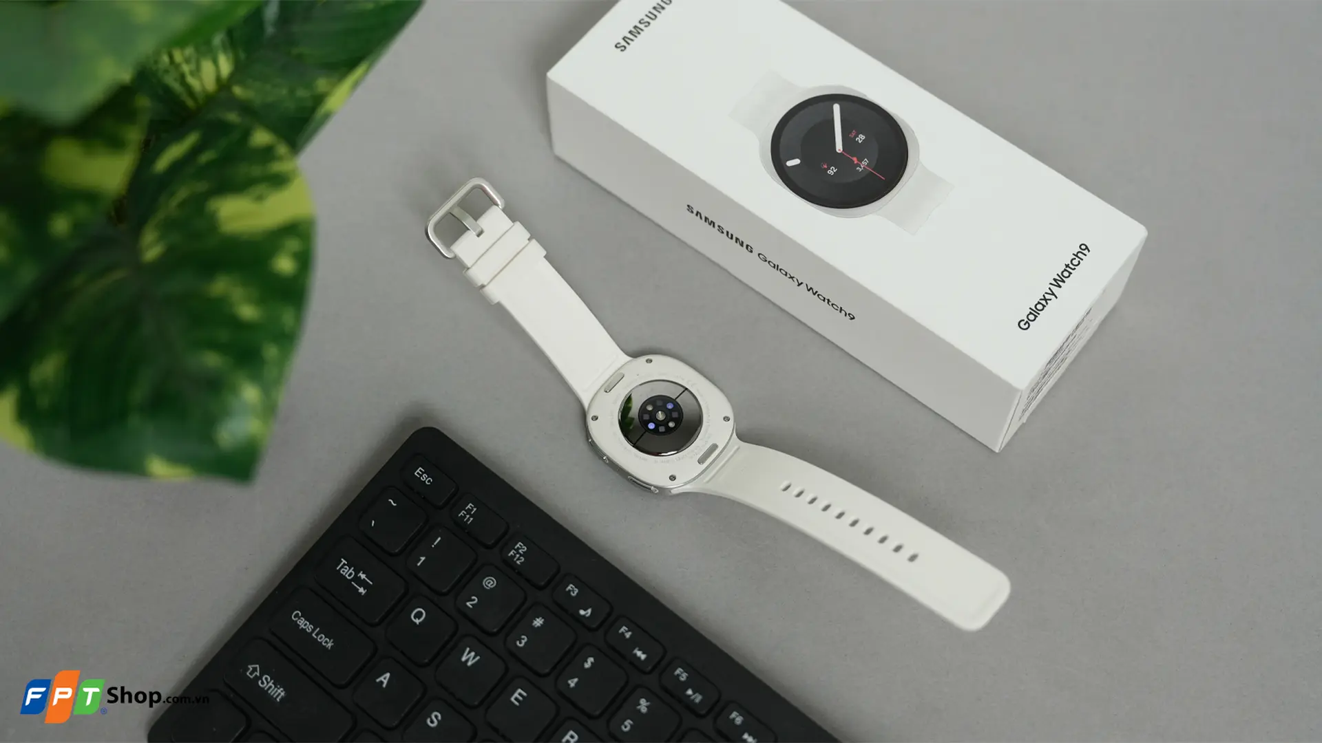 https://fptshop.com.vn/