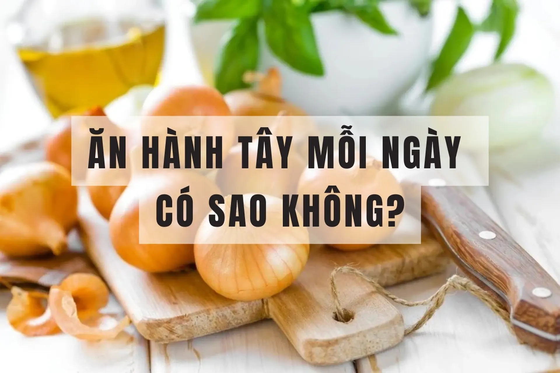 Ăn hành tây mỗi ngày có sao không? Giải đáp từ a-z lợi ích và những lưu ý bạn cần biết