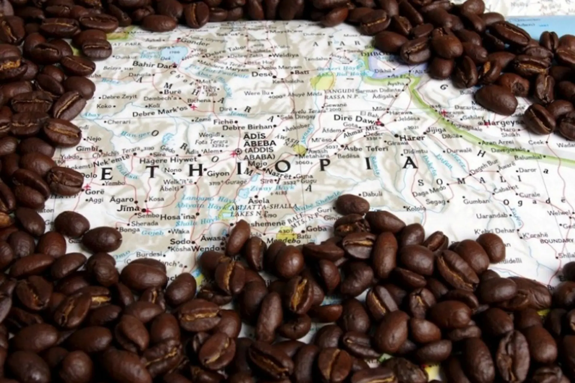 Cà phê Ethiopia - Khám phá hương vị đặc biệt từ cái nôi của cà phê Arabica thế giới