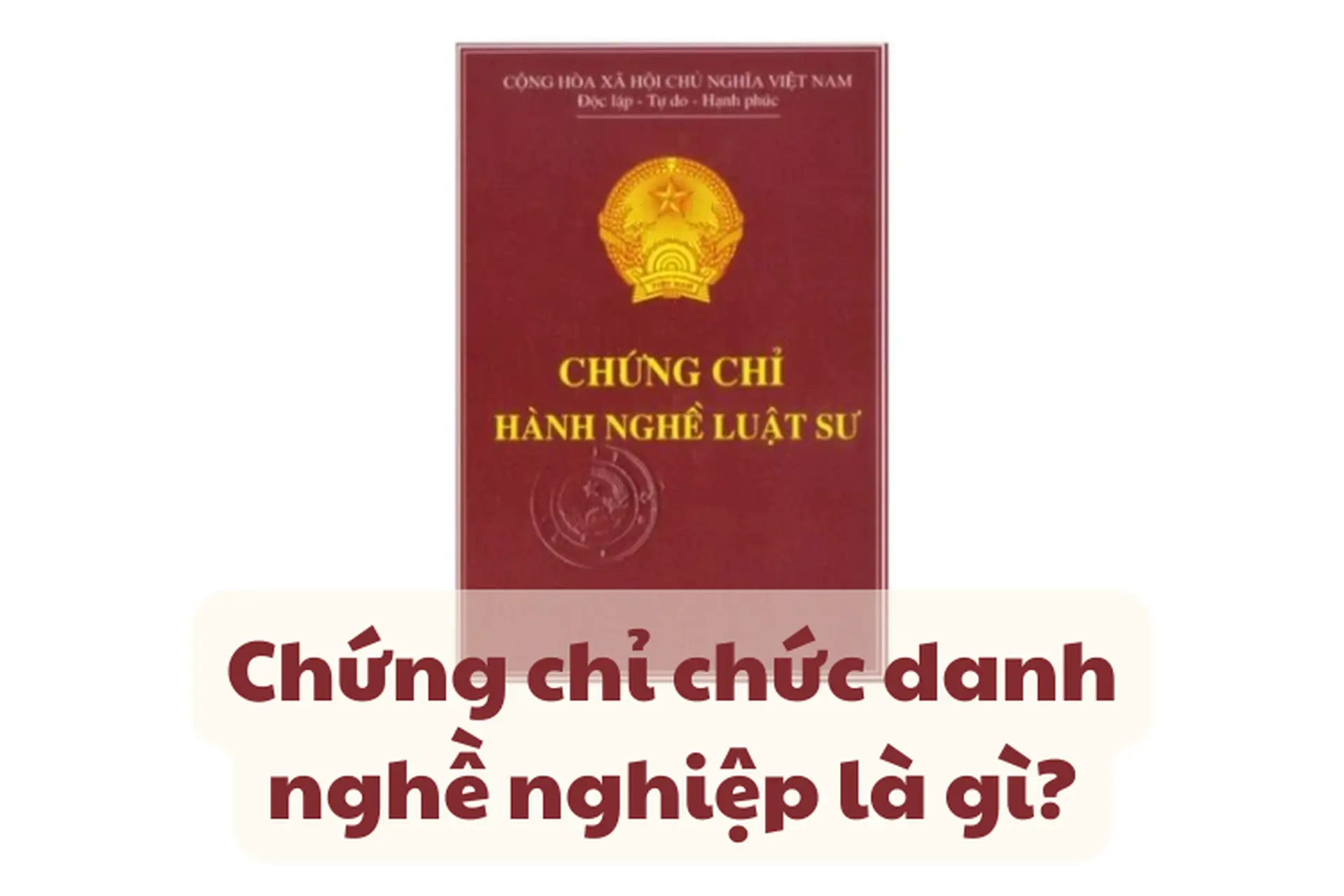 Chứng chỉ chức danh nghề nghiệp là gì? Những điều viên chức cần biết trong lộ trình thăng hạng