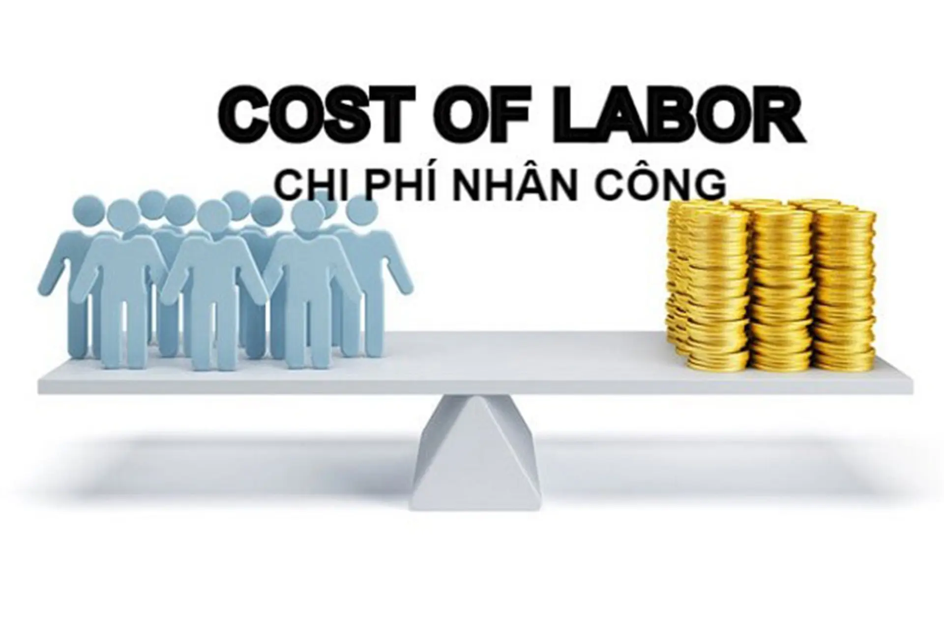Tìm hiểu về Col trong F&B: Vai trò, cách quản lý và bí quyết tối ưu chi phí lao động