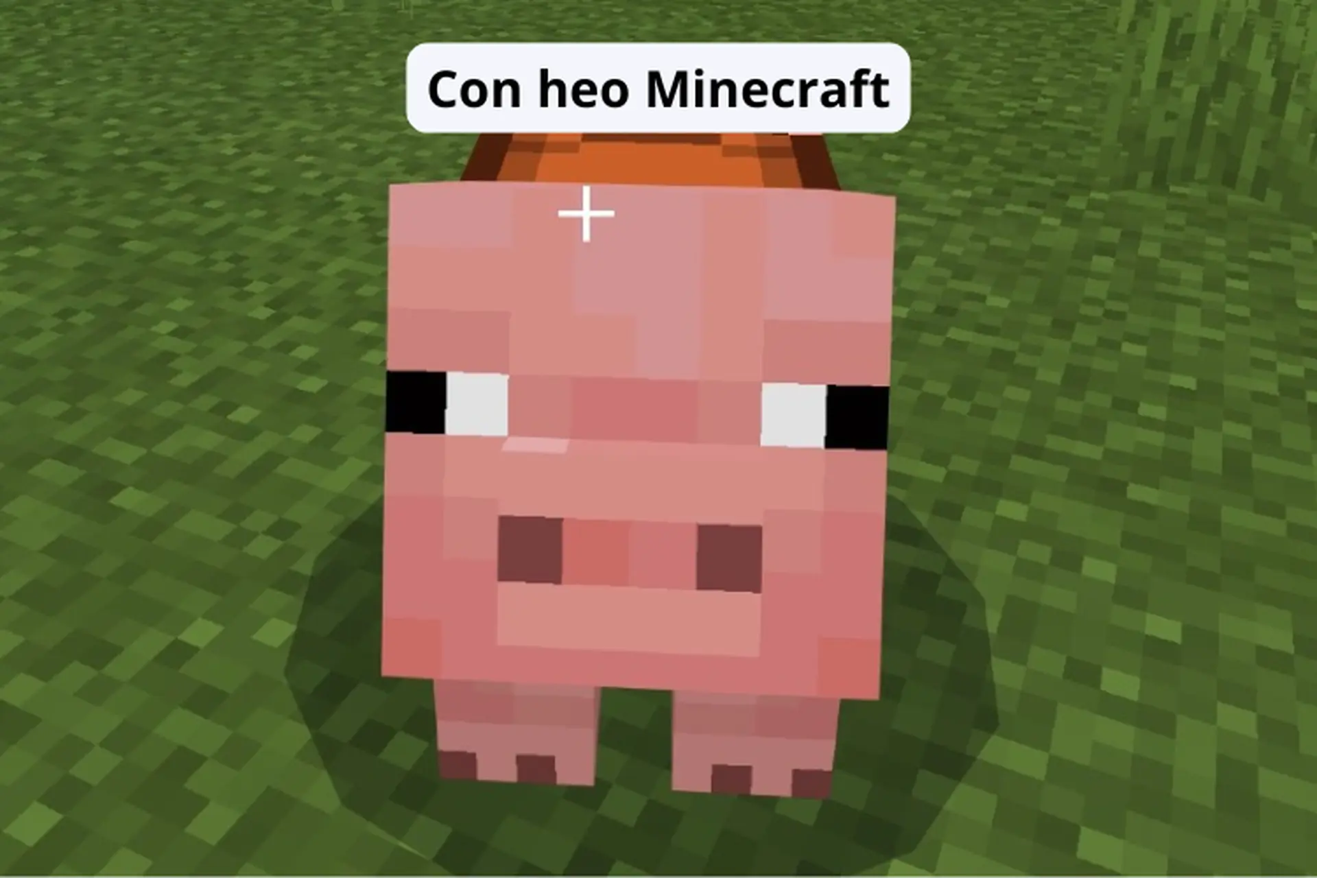 Con heo Minecraft: Toàn bộ biến thể, đặc điểm và cách nuôi hiệu quả cho người mới