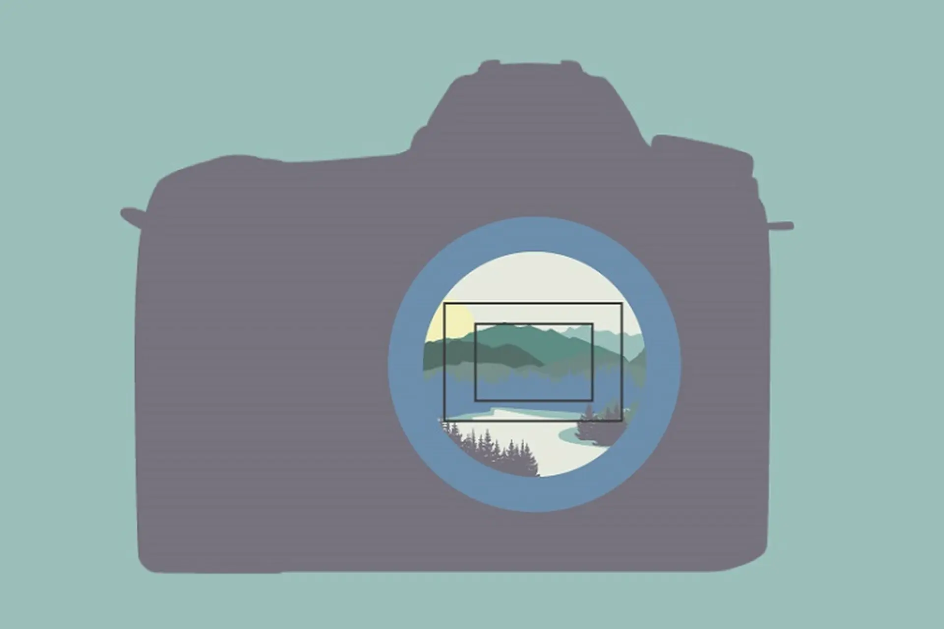 Crop Factor là gì trong nhiếp ảnh? Giải mã hệ số Crop Factor và ảnh hưởng của nó đến tiêu cự thực tế