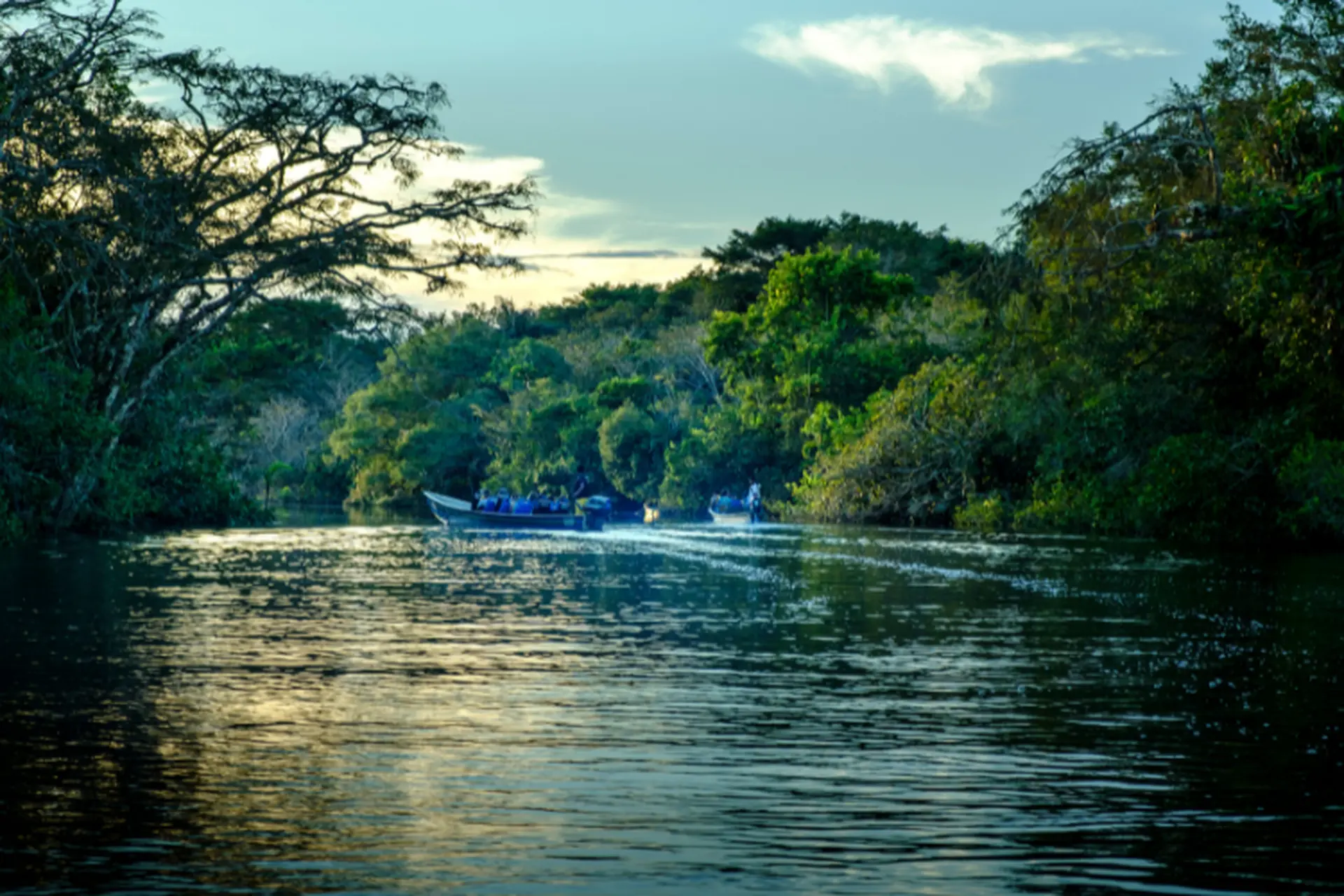 Ecuador là nước nào? Khám phá vị trí, lãnh thổ và đặc điểm nổi bật của Ecuador