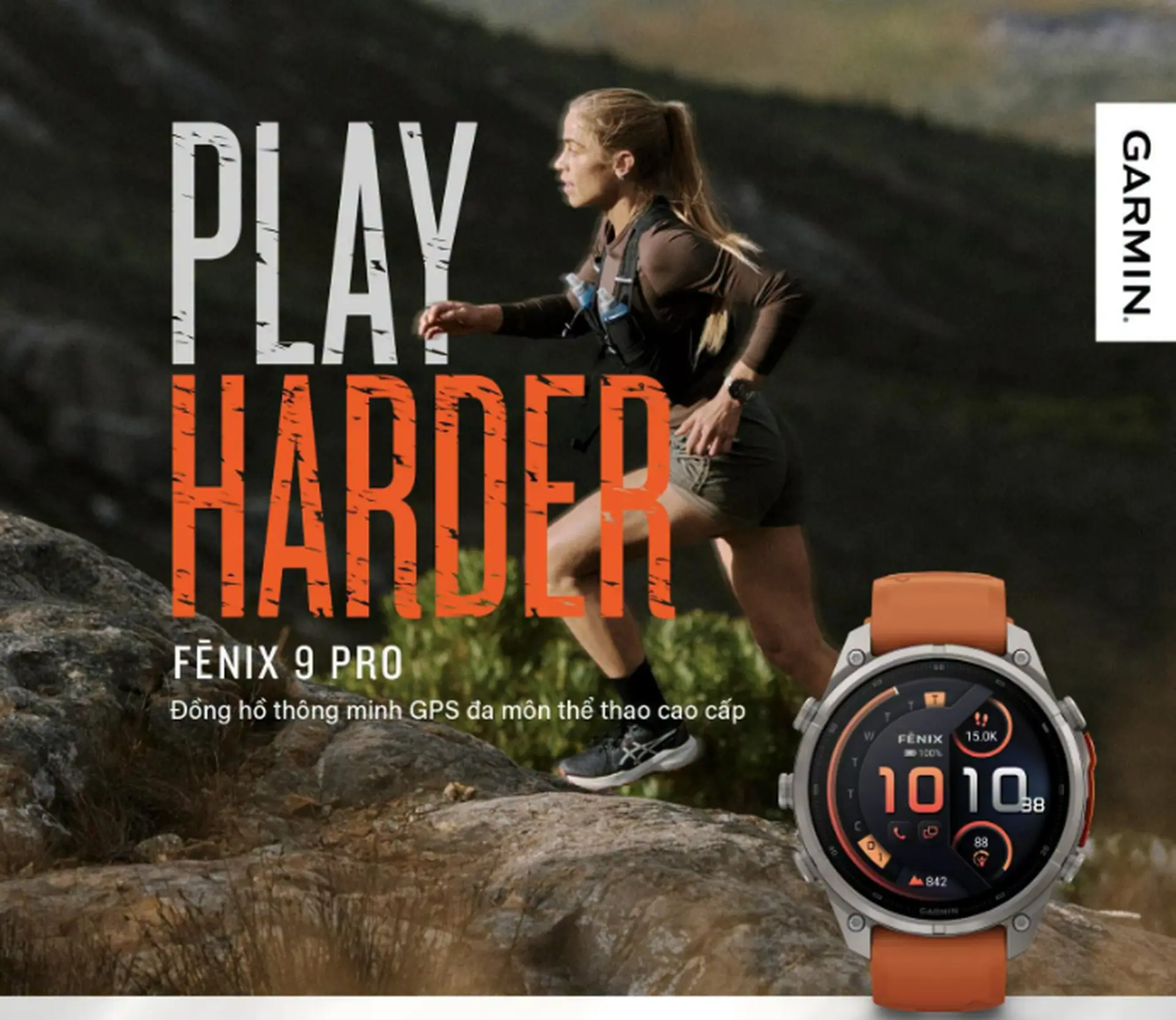 Fenix 9.png