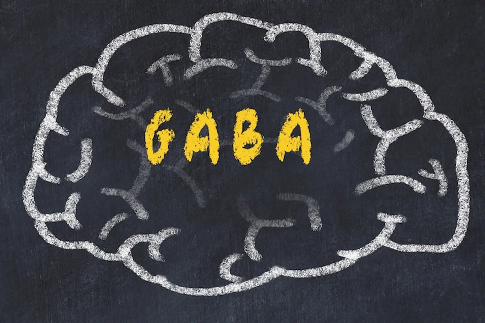 GABA là gì? Tìm hiểu về "thuốc an thần tự nhiên" của cơ thể và vai trò đối với cơ thể con người