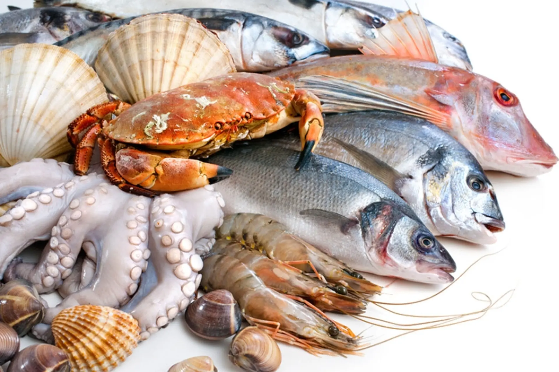Hải sản là gì? Khám phá thế giới đa dạng của sinh vật biển và những lợi ích  tuyệt vời cho sức khỏe