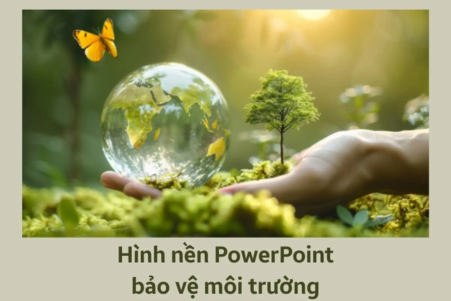 Tuyển chọn 100+ hình nền PowerPoint bảo vệ môi trường chất lượng cao, dễ dàng tải miễn phí