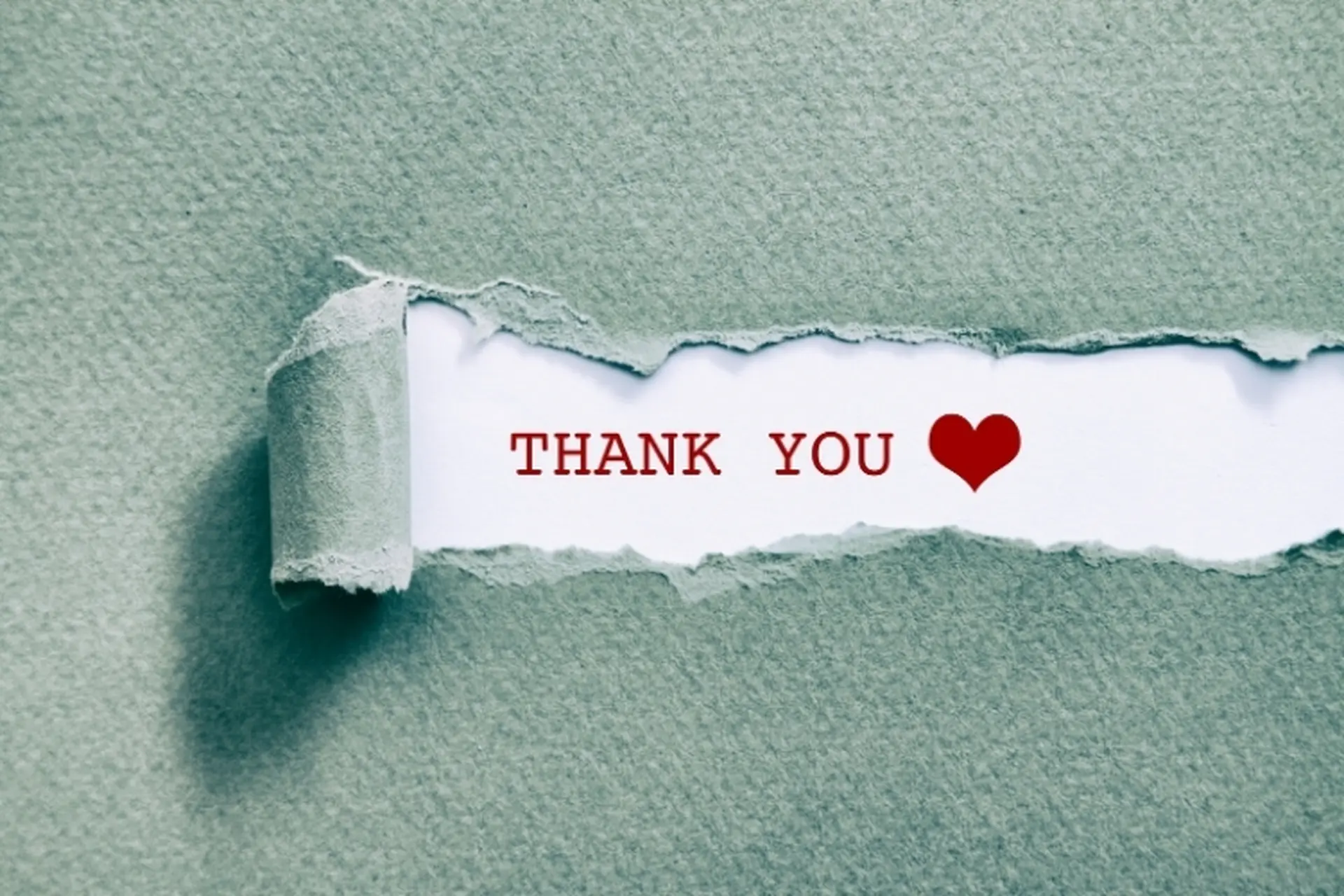 Lưu ngay 100+ mẫu hình thank you for watching cho trang cuối cùng slide đẹp mắt và chuyên nghiệp