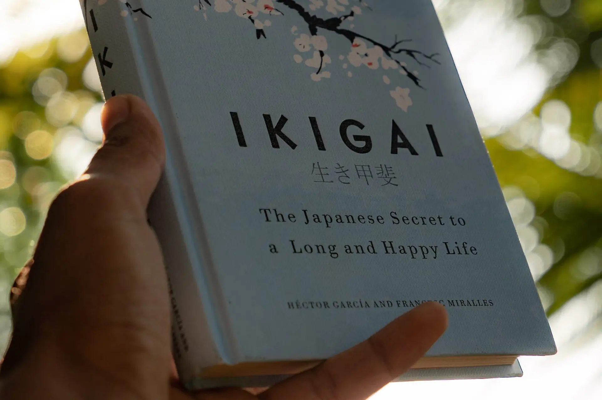 Tìm hiểu Ikigai là gì và vì sao nó được xem là “bí quyết sống lâu” của người Nhật?
