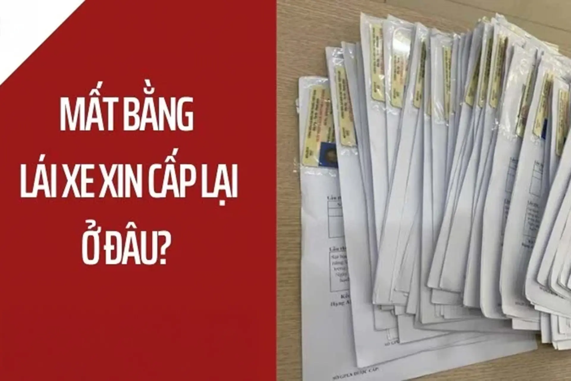 Mất bằng lái xe máy xin cấp lại ở đâu và những điều bạn cần biết để tránh rắc rối