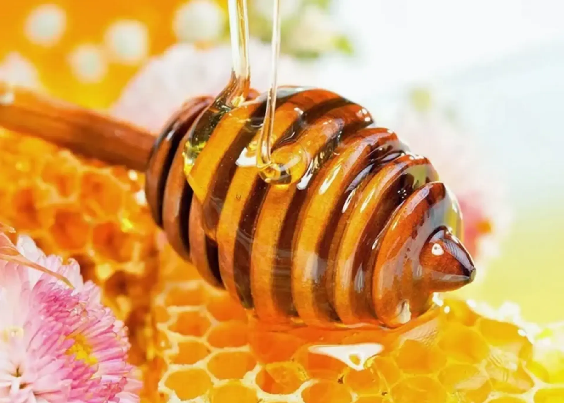 Mật ong bạc hà là gì? Đặc điểm nổi bật và công dụng tuyệt vời cho sức khỏe và sắc đẹp