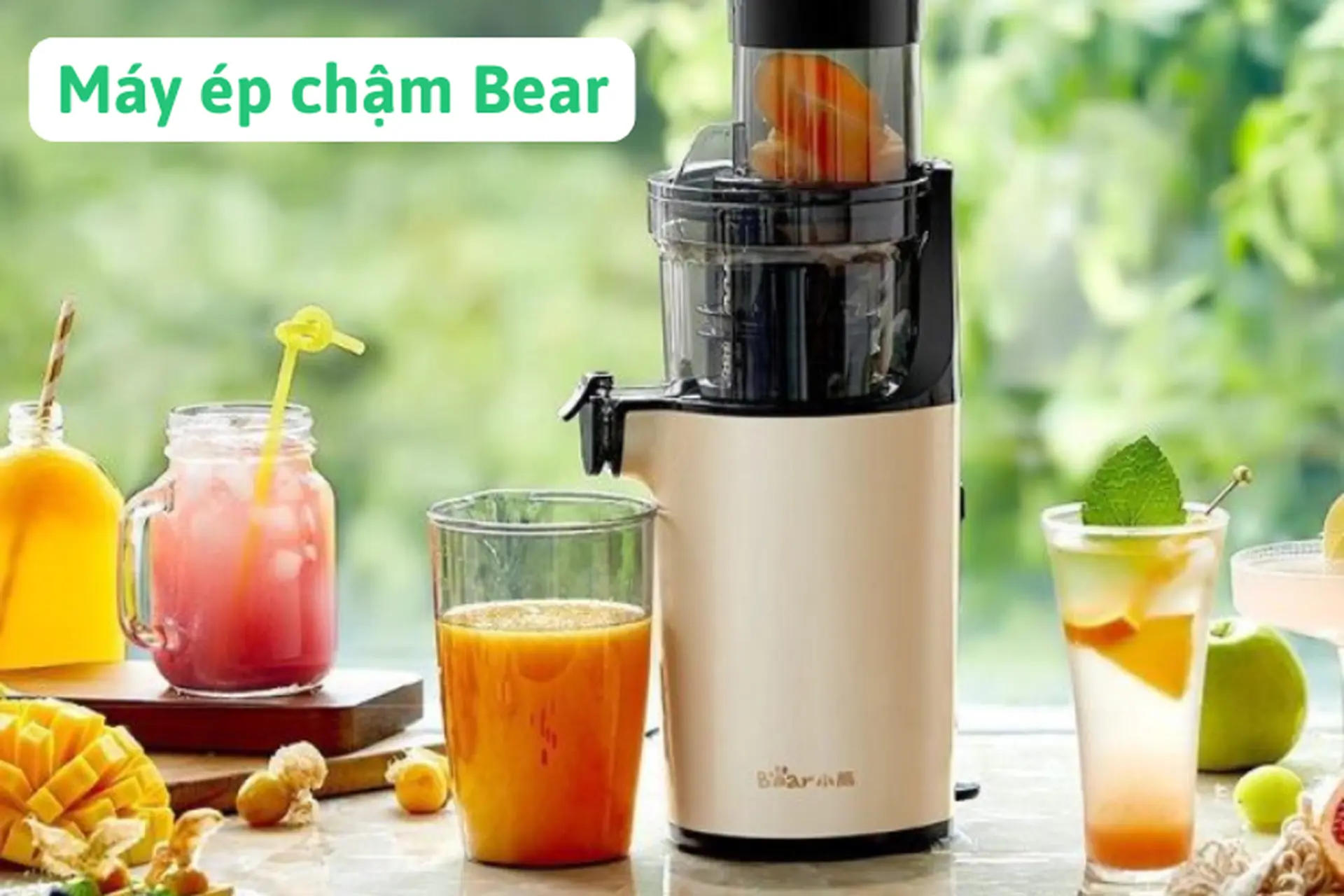 Máy ép chậm Bear có tốt không? Review các loại máy ép chậm được ưa chuộng trên thị trường