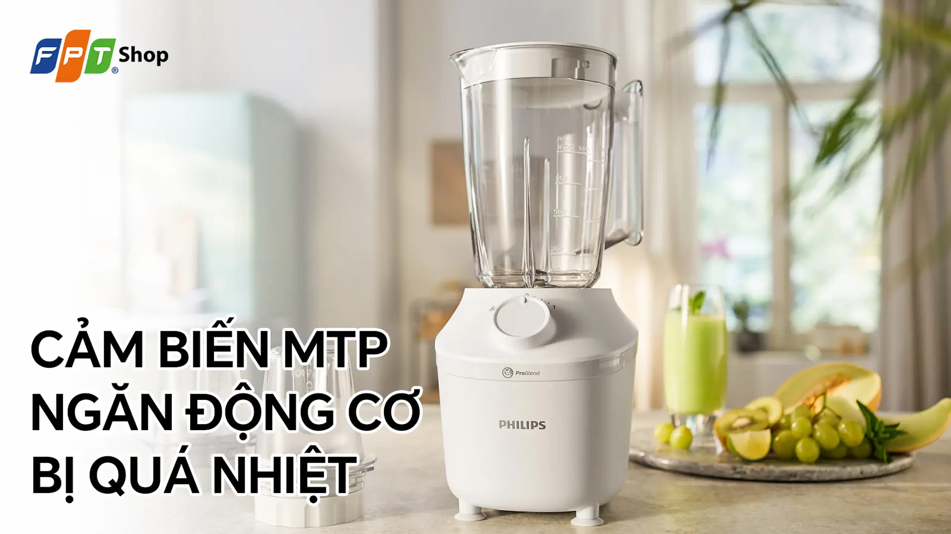Máy xay sinh tố đa năng Philips HR2041/30 3 cối