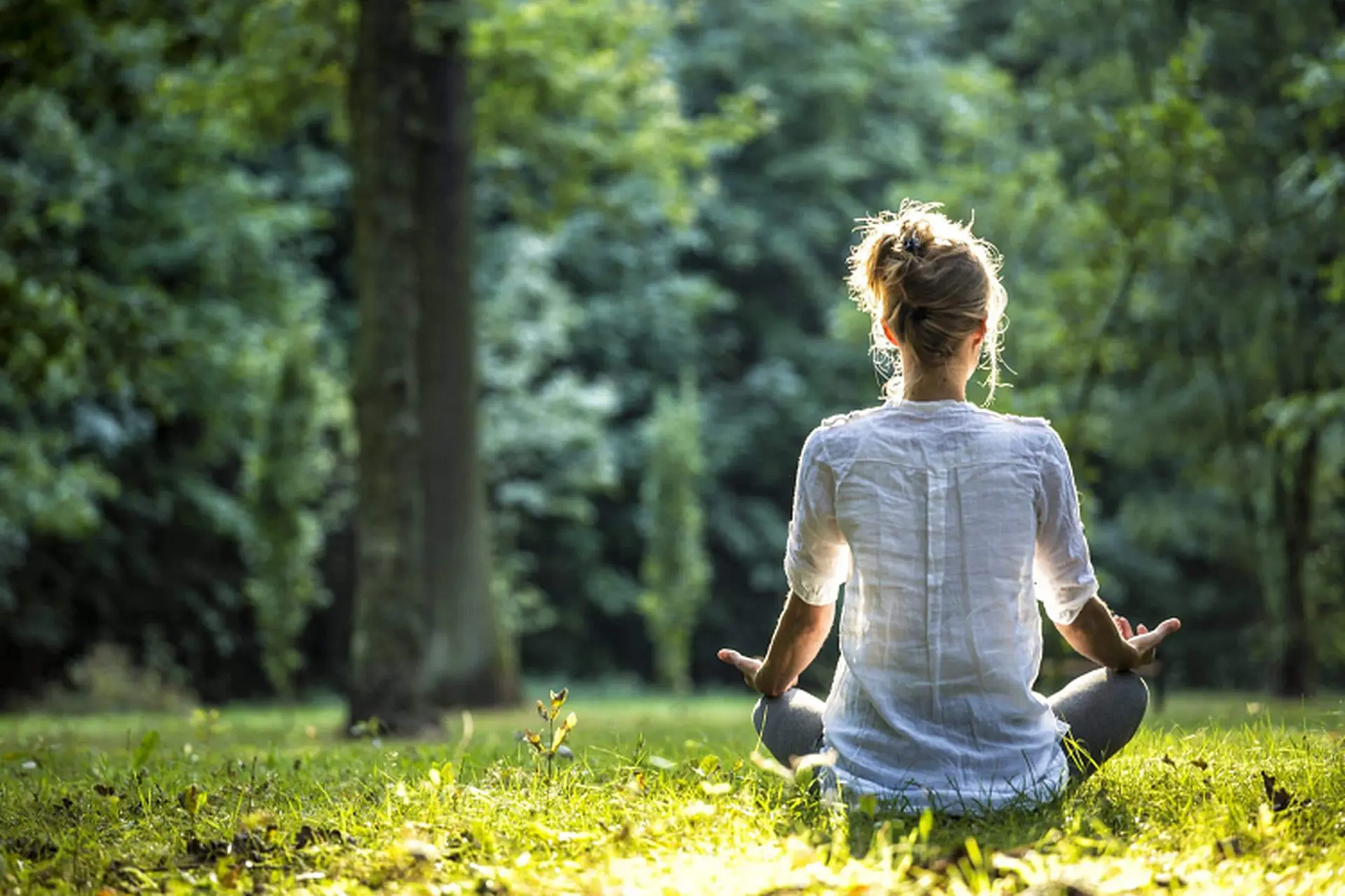 Mindfulness là gì? Nghệ thuật sống an yên giữa bộn bề cuộc sống và mở ra sự bình an nội tại