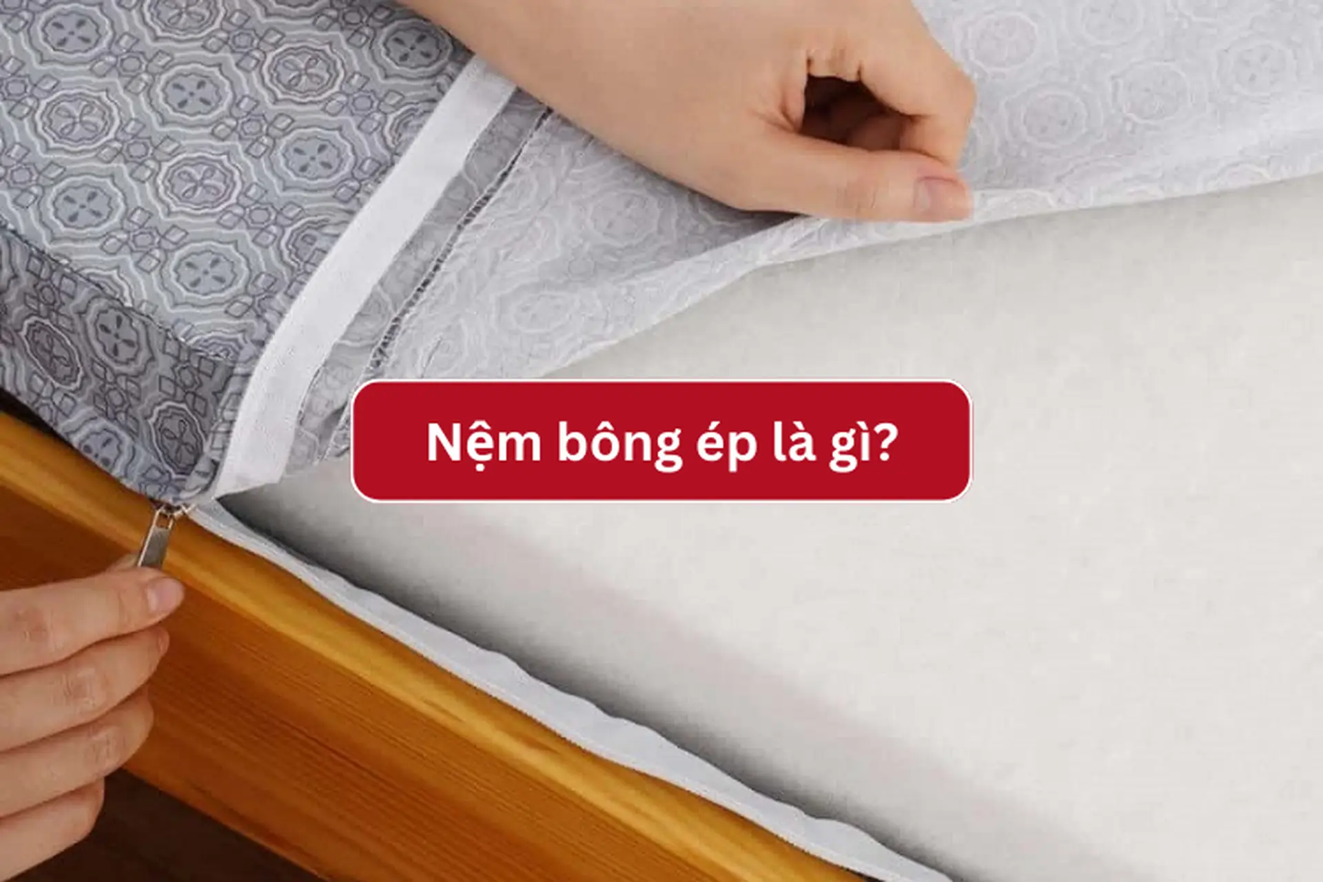 Góc giải đáp: Nệm bông ép là gì? Có nên nằm nệm bông ép không? Ưu nhược điểm của nệm bông ép