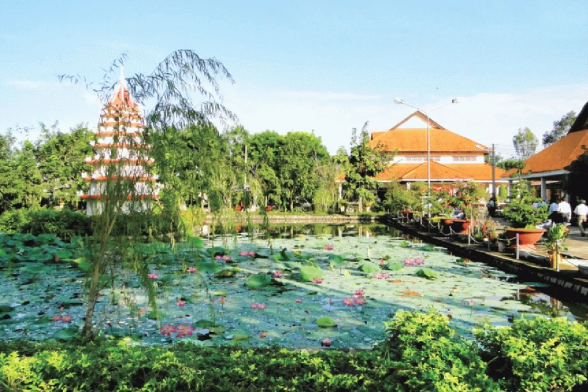 Phường Mỹ Trà của Đồng Tháp sau sáp nhập: Diện mạo mới, tiềm năng bật tăng và cơ hội bứt phá