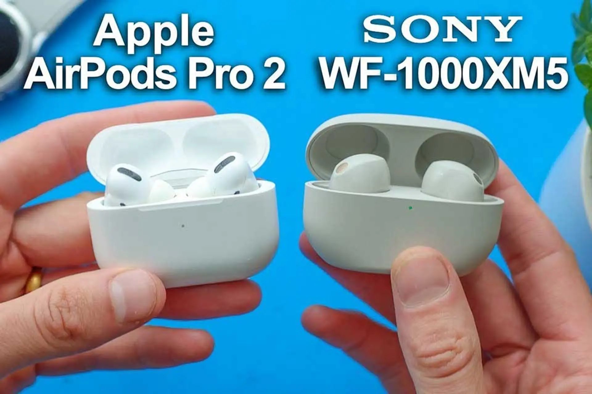 So sánh Sony WF-1000XM5 và AirPods Pro 2: Tai nghe nào đáng mua nhất năm nay?