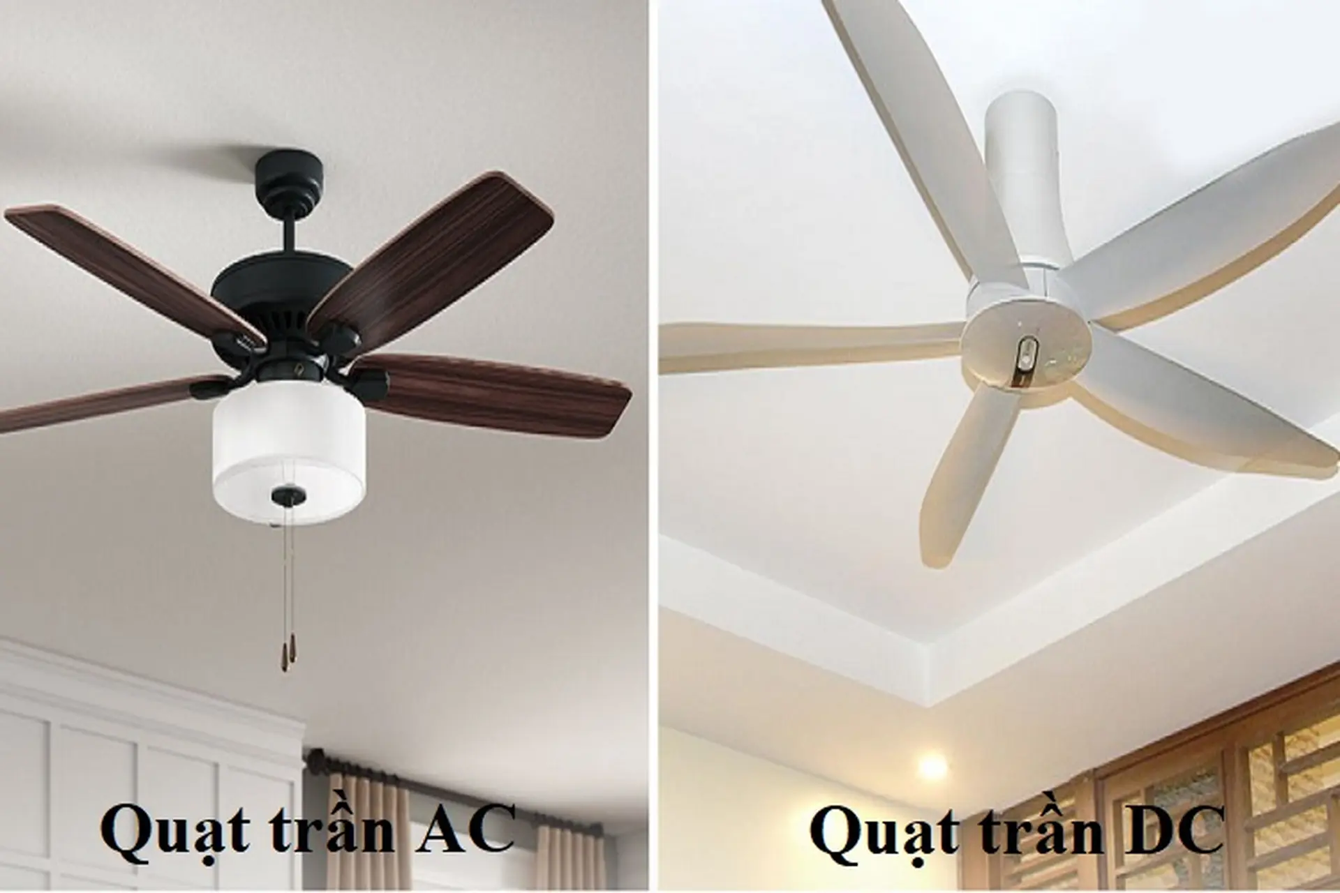 So sánh quạt trần DC và AC? Sử dụng quạt trần chạy động cơ DC hay AC tốt hơn?