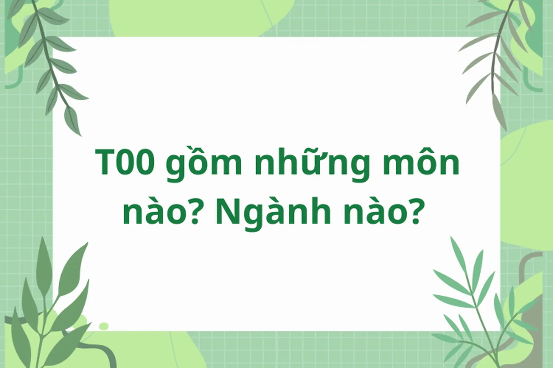 T00 gồm những môn nào? Ngành nào? Khám phá tổ hợp năng khiếu cho nhóm ngành thể dục thể thao