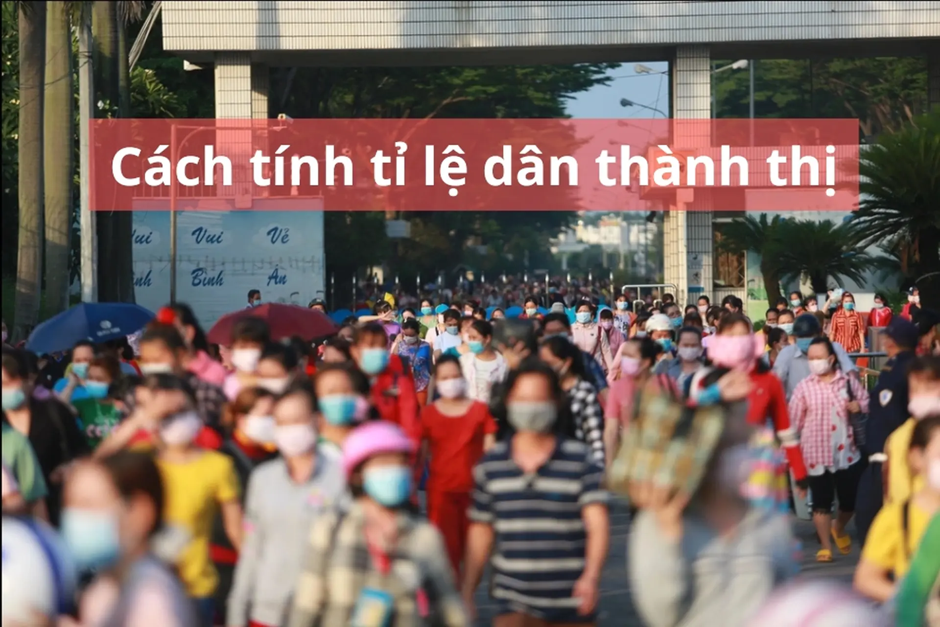 Hướng dẫn tính tỉ lệ dân thành thị: Công thức, ý nghĩa và ứng dụng thực tế trong đánh giá phát triển kinh tế xã hội