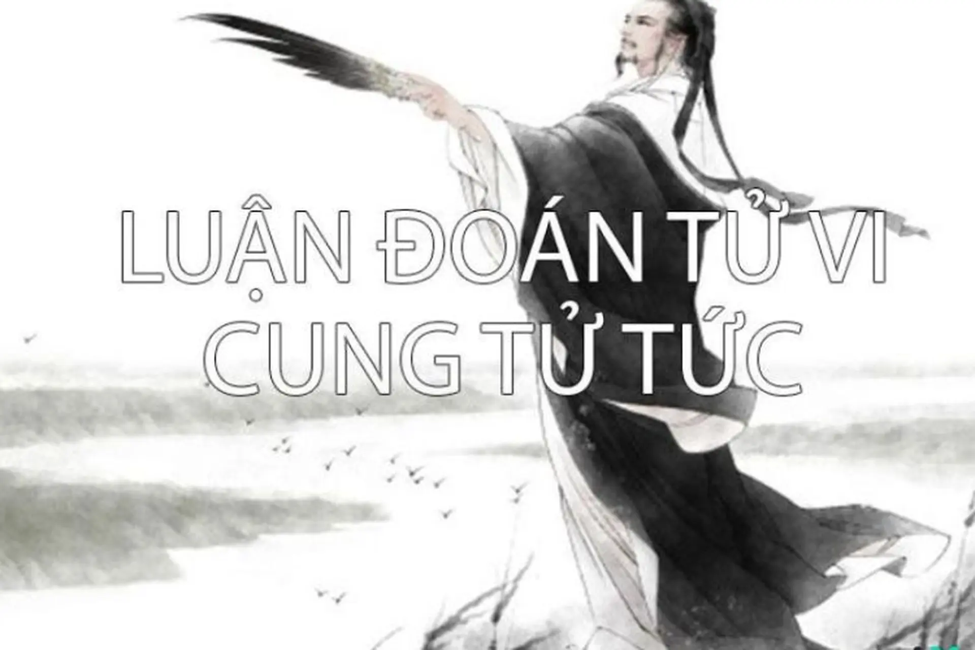 Cung Tử Tức là gì? Khám phá ý nghĩa của các chính tinh trong cung Tử Tức và một số phụ tinh