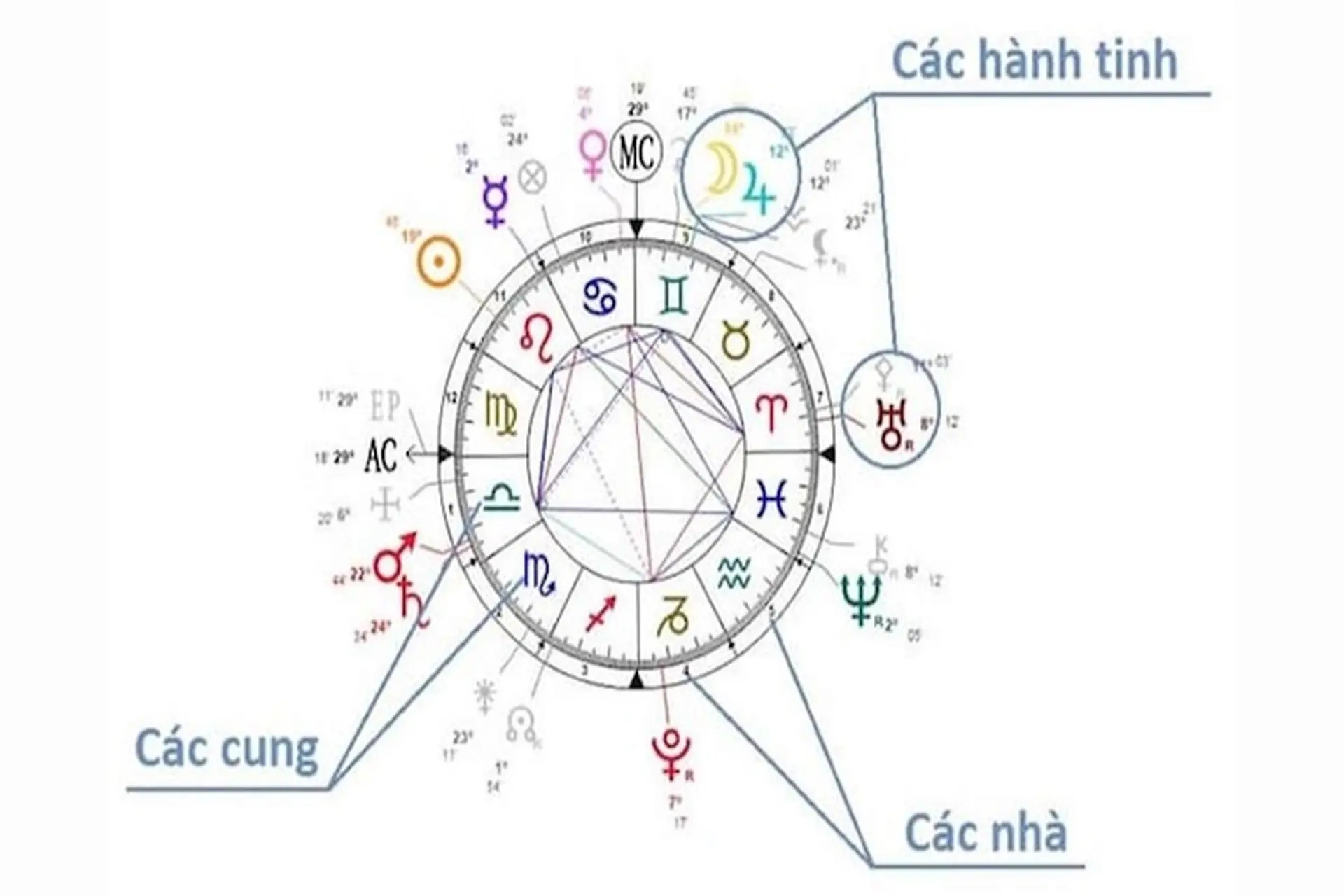 Tìm hiểu AC trong bản đồ sao là gì? Ý nghĩa cung Mọc và cách xác định